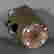 item-120756752=3