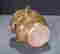 item-120756815=3