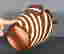item-120756851=4