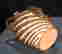 item-120756856=3