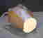 item-120756858=3