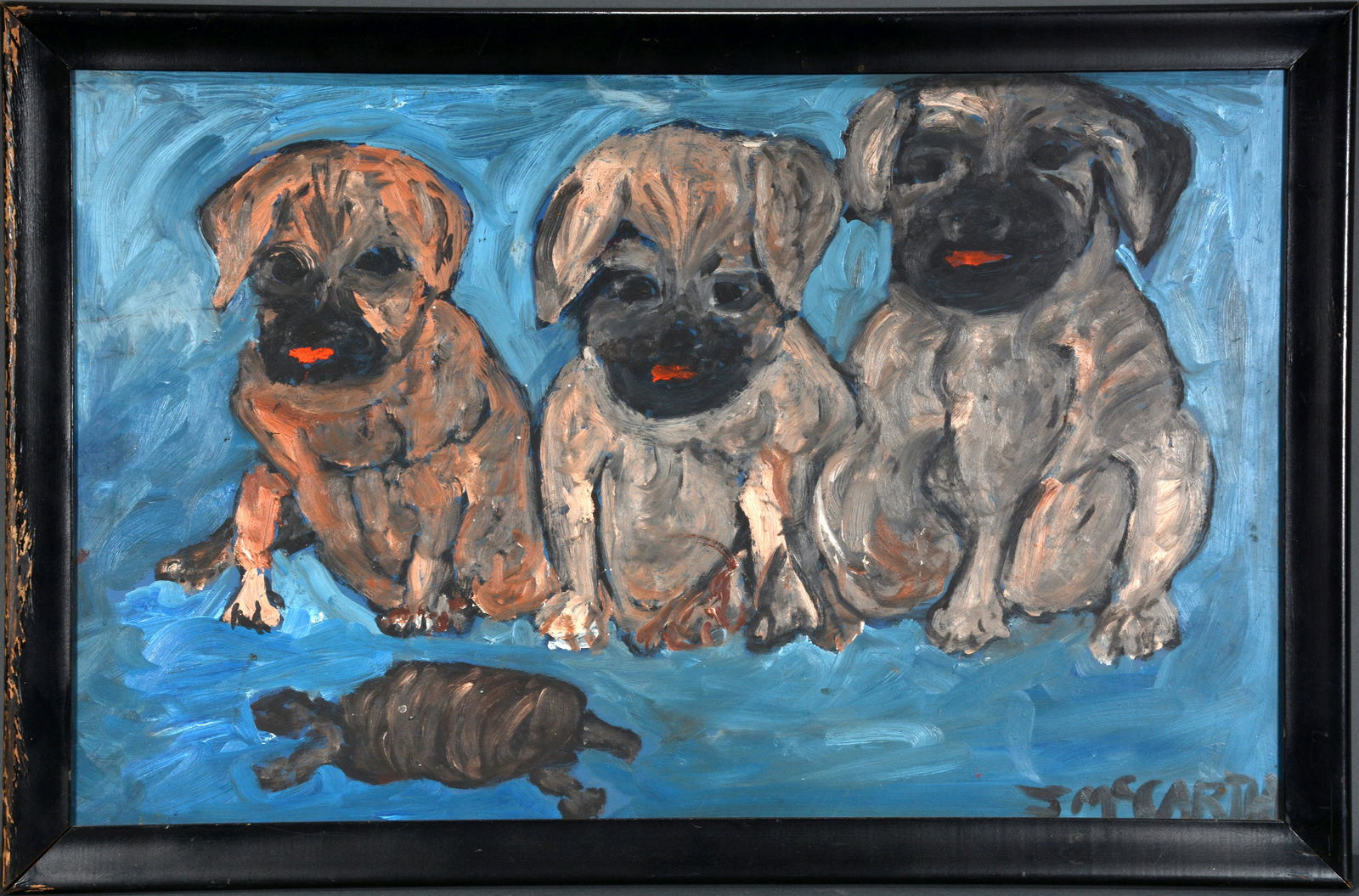 Justin McCarthy. Three Dogs & A Turtle. (1 of 5)