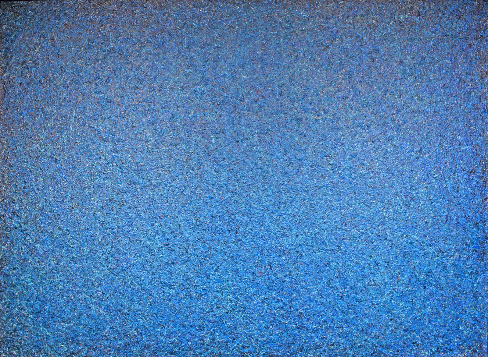 Heidi Thompson. December Blue Field. (1 of 16)