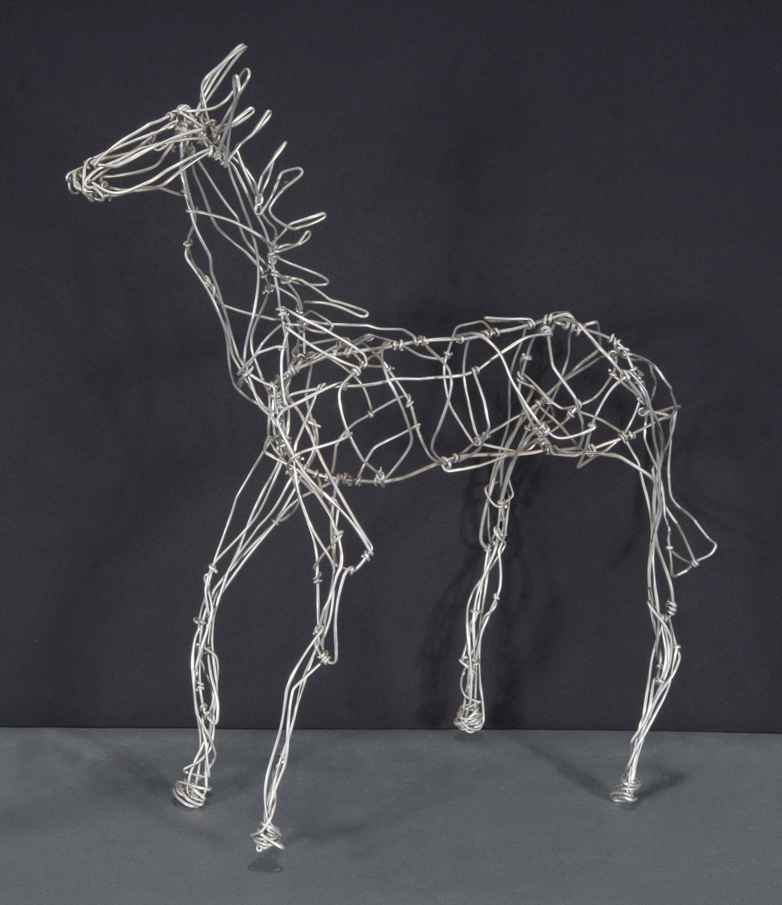 Charlie Lucas. Horse. (1 of 3)