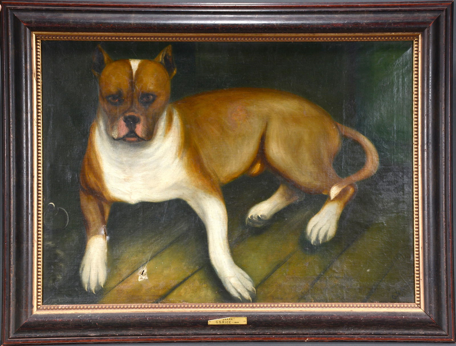 G.S. Rice. 'Shark'. (1 of 9)