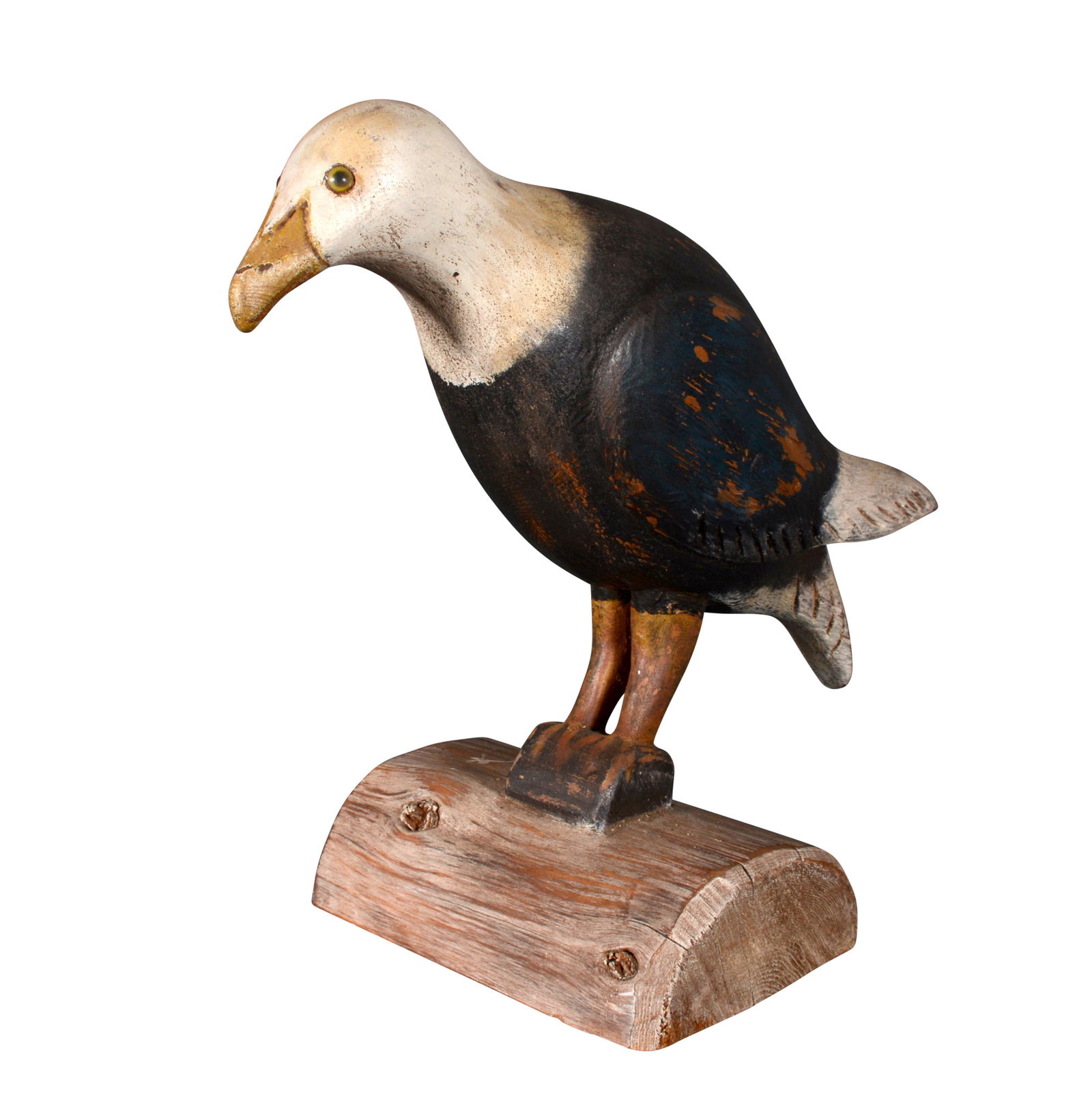 F & S. Bald Eagle. (1 of 11)