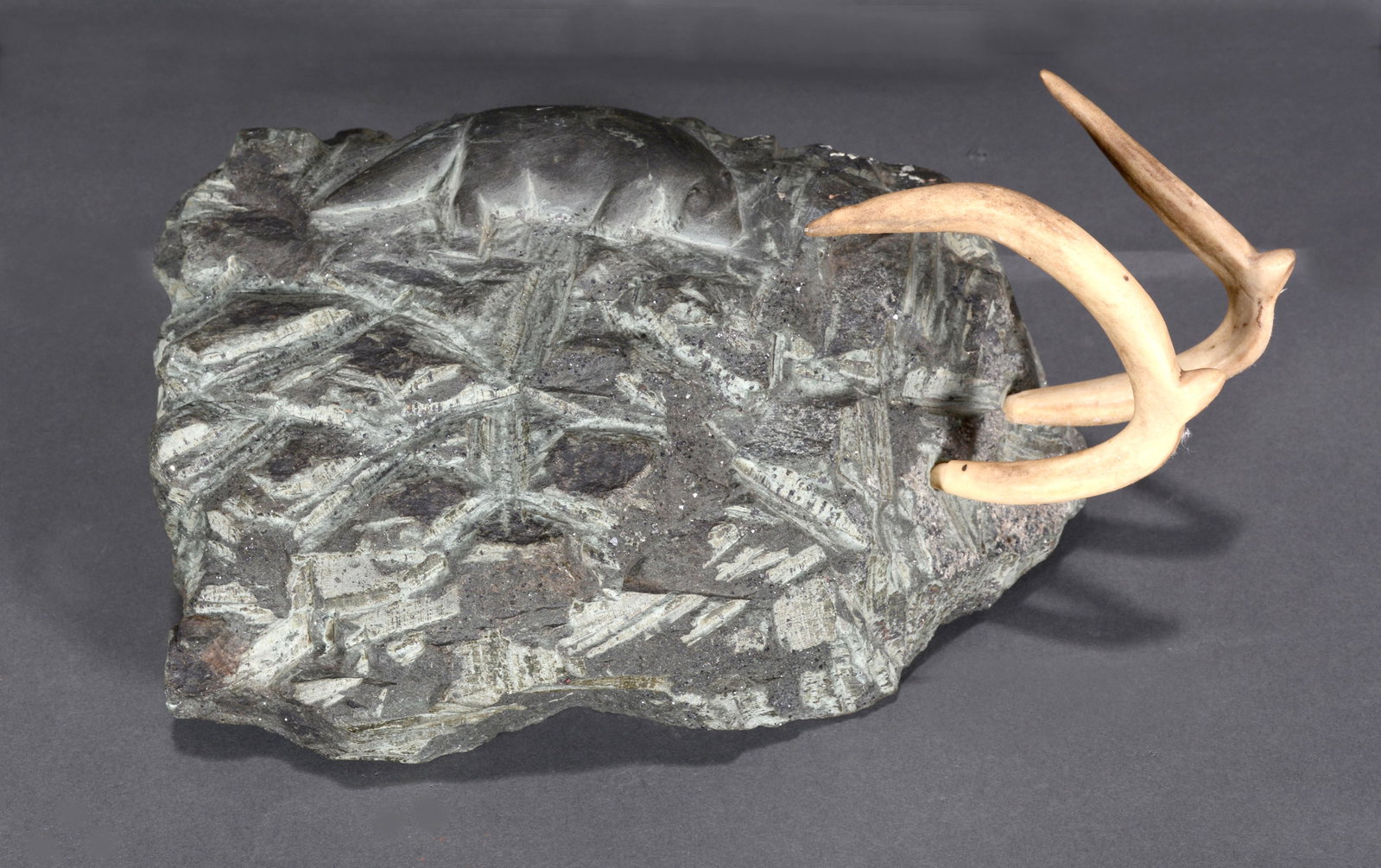 Inuit Artist. Arctic Fox On Rocks With Antlers Protruding.: Unknown Inuit Artist. Arctic Fox On Rocks With Antlers Protruding. Inscribed on base, E2-126. Carved soapstone with antler bone. Excellent condition. 10" x 8" x 6'. Est. $300-500. Ship: $55