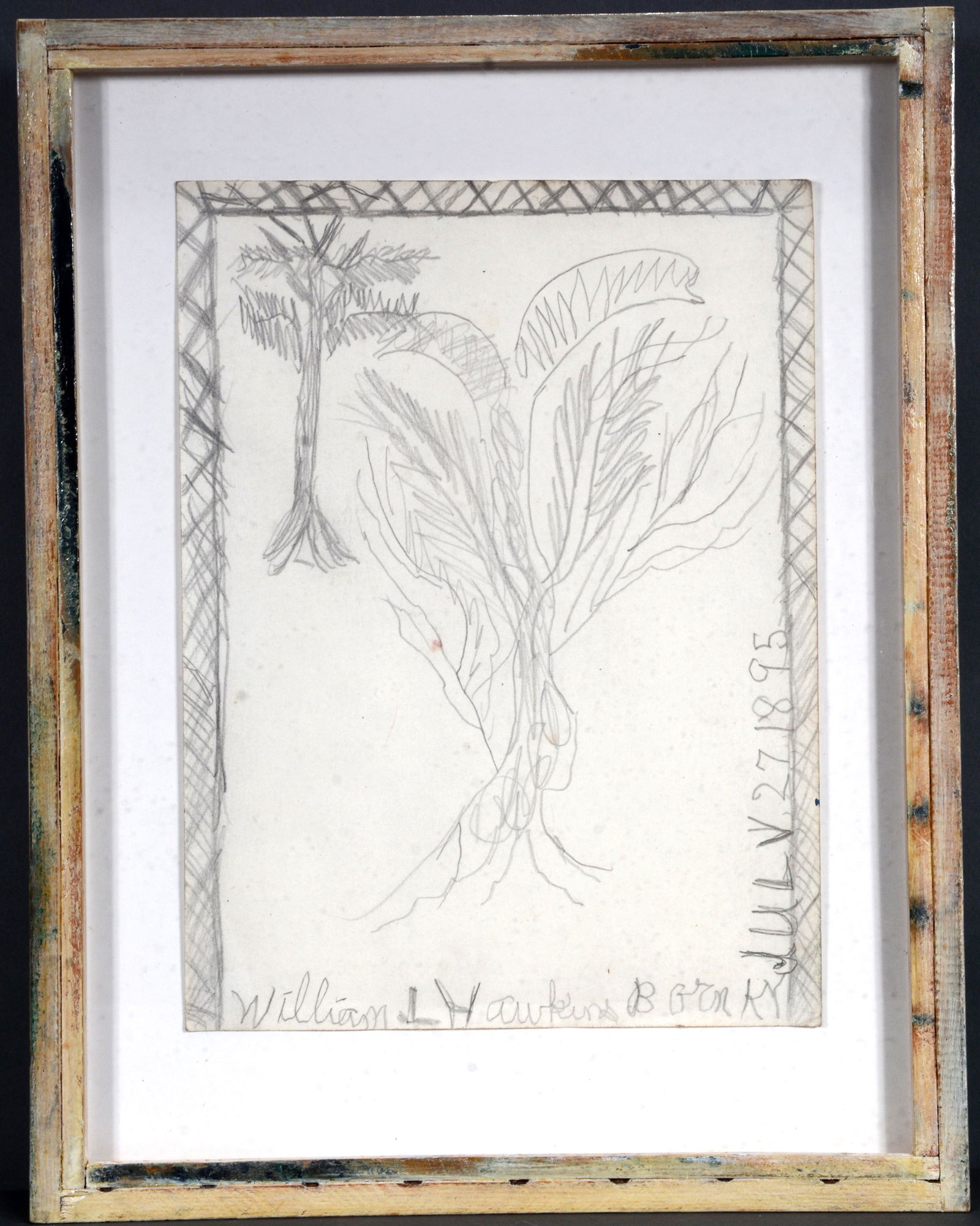 William Hawkins. Tree and Bush. (1 of 3)