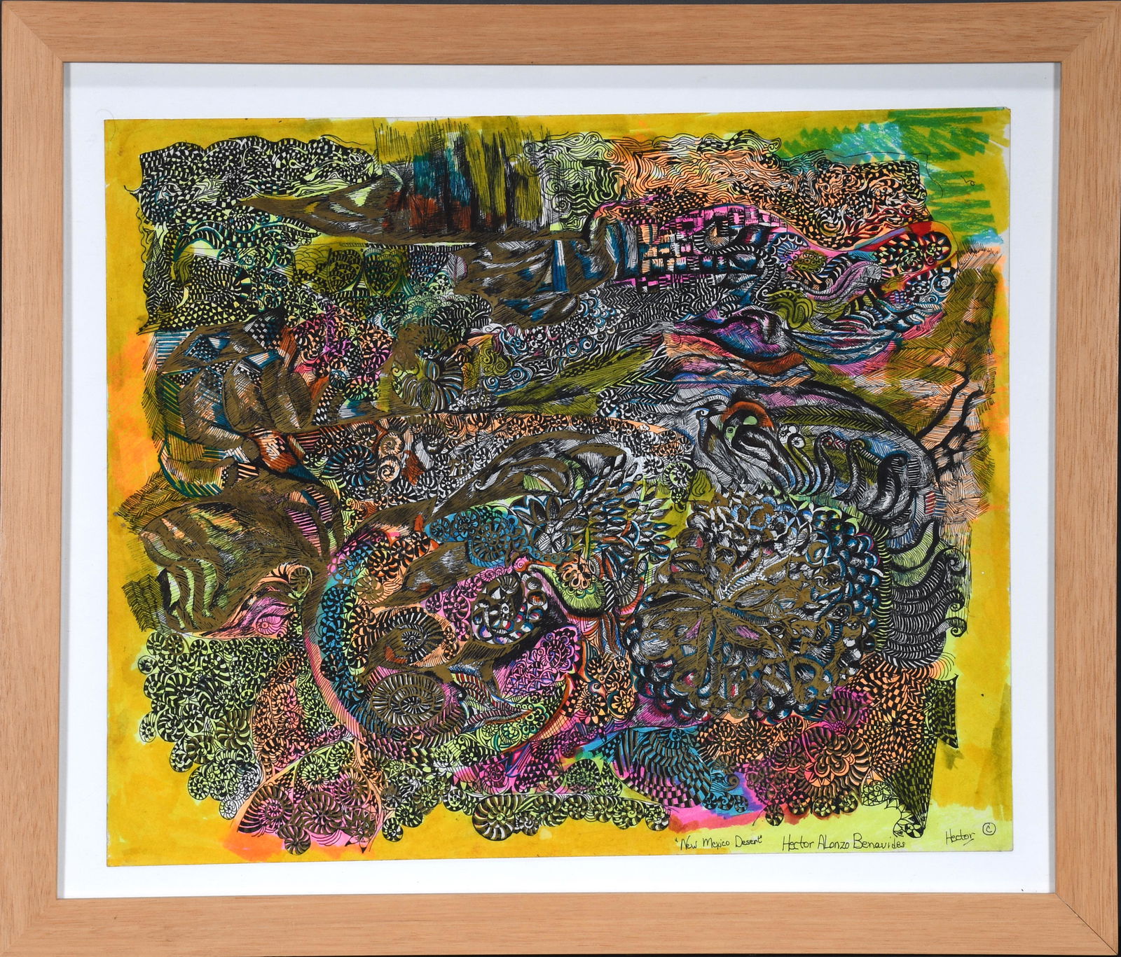 Hector Alonzo Benevides. New Mexico Desert. (1 of 3)