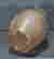 item-144138513=4
