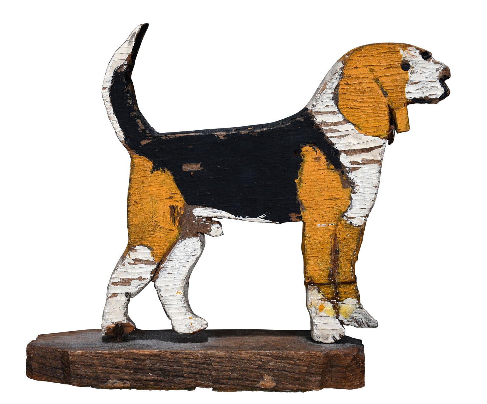 Steve Ashby. Dog. (1 of 4)