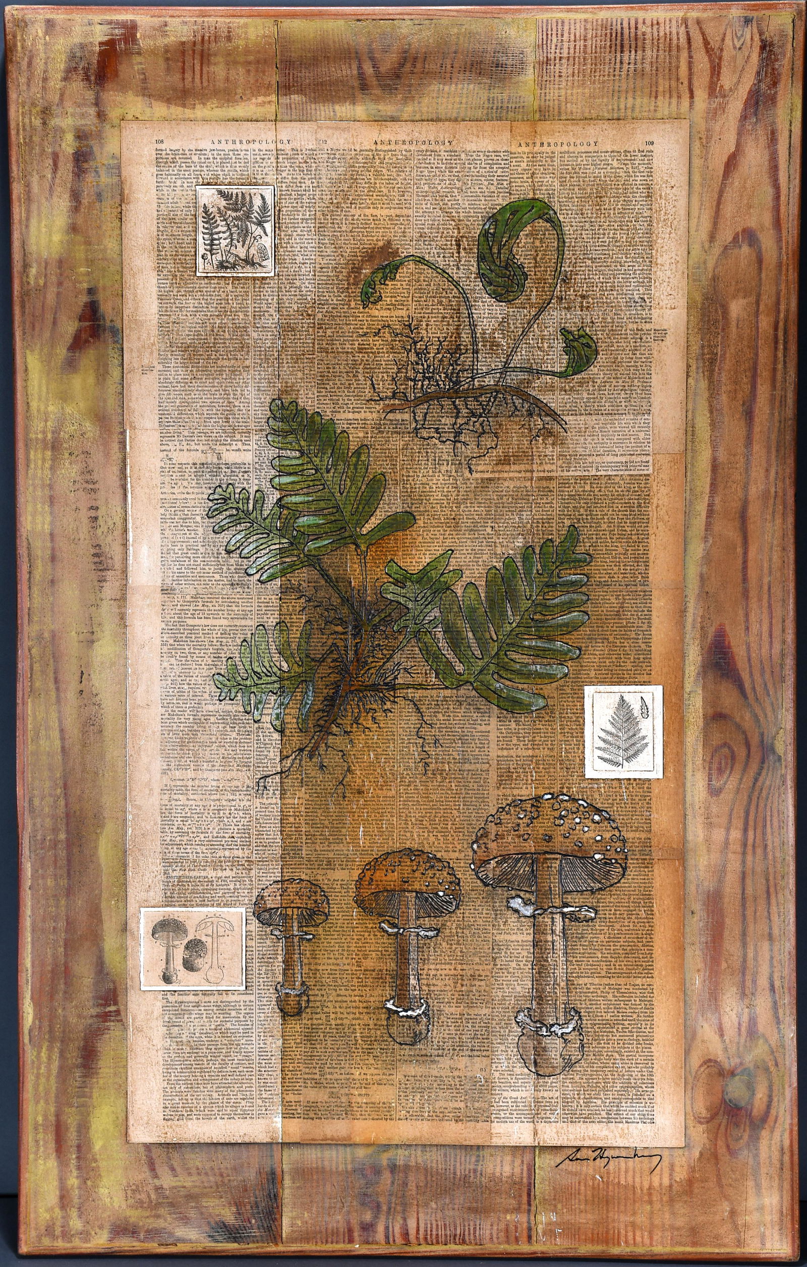 Aaron Hequembourg. Ferns and Mushrooms. (1 of 2)