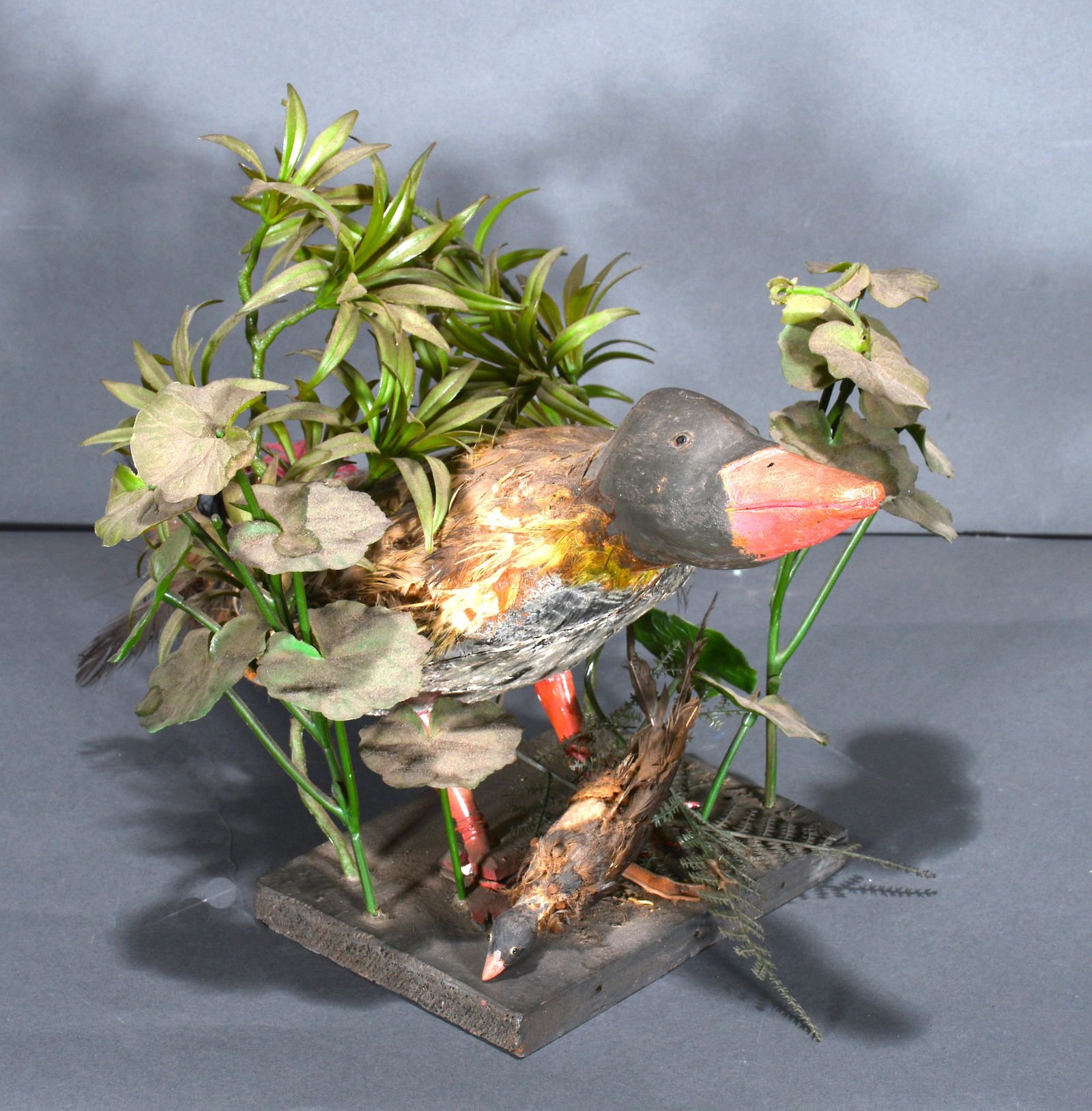 George White. Duck. (1 of 5)