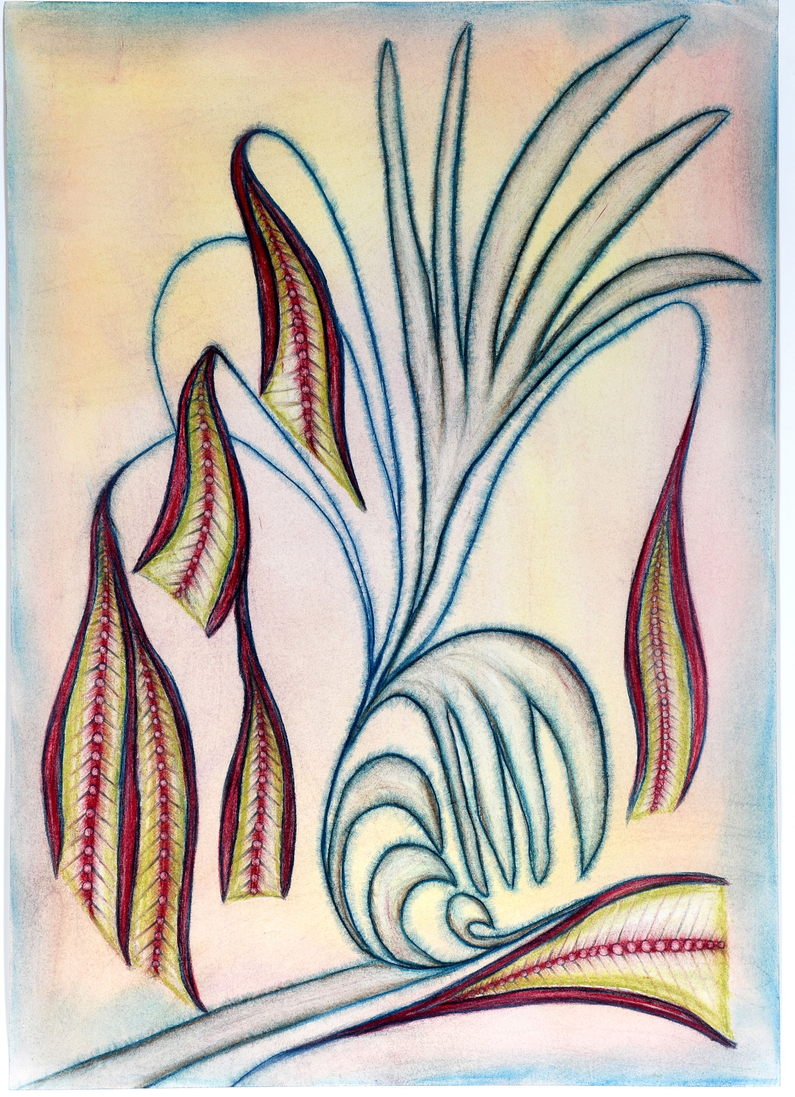 Anna Zemankova. Large Floral With Colorful Seed Pods.: Anna Zemankova. Large Floral With Colorful Seed Pods. Signature not visible. Oil pastel and mixed media on artist paper. Excellent condition. Masterpiece example. Beautifully shaded colors. Image is 2