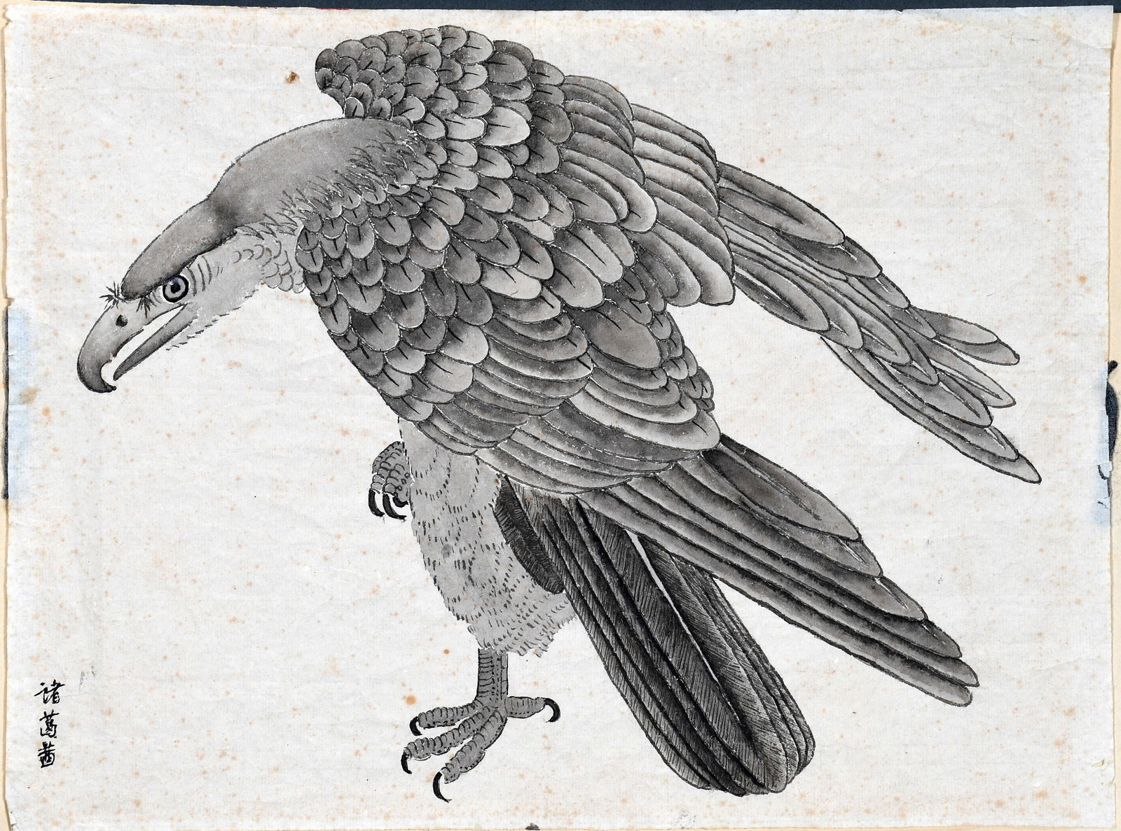 Anonymous Japanese Artist. Eagle. (1 of 4)