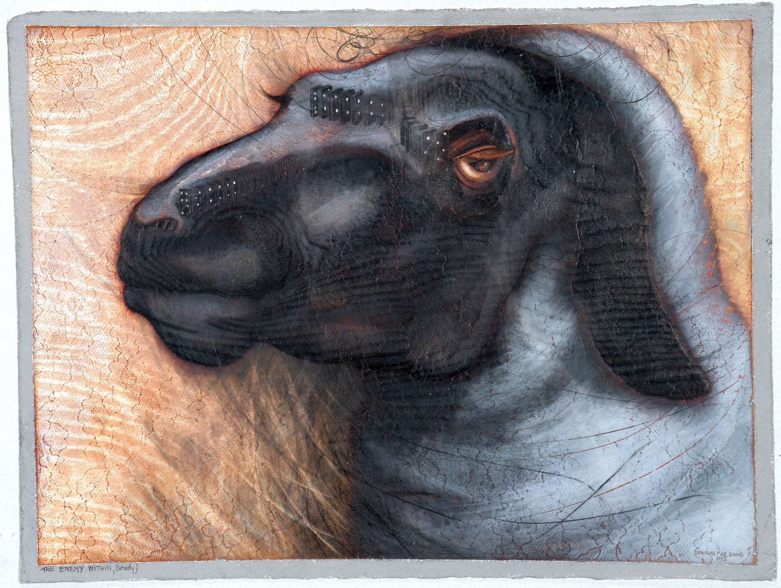 Deborah May Broad. The Enemy Within. (1 of 3)