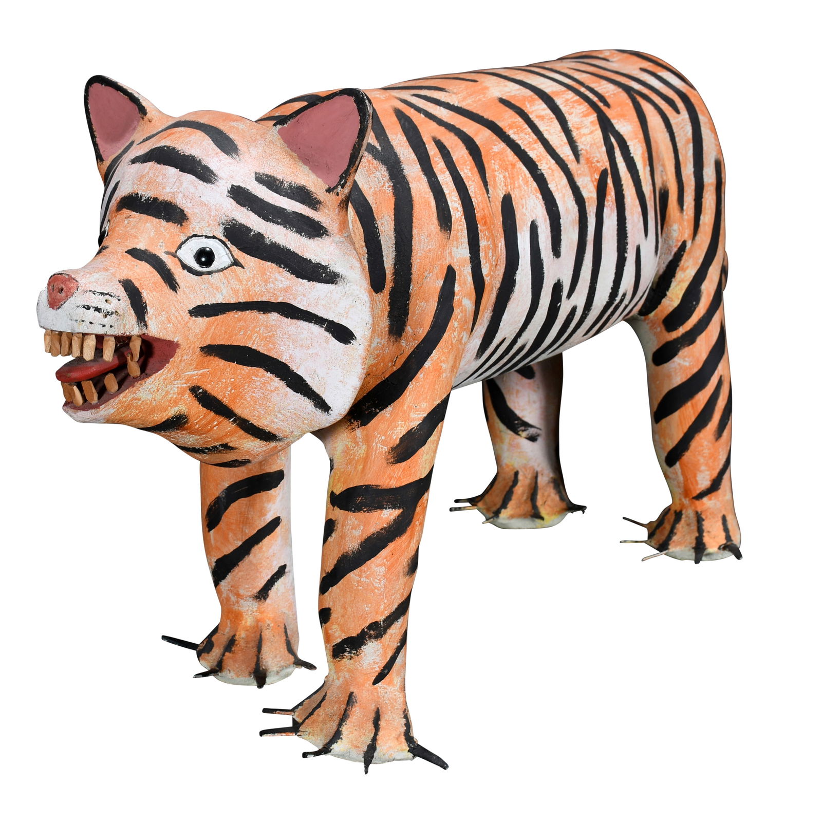 David Alvarez. Tiger. (1 of 8)