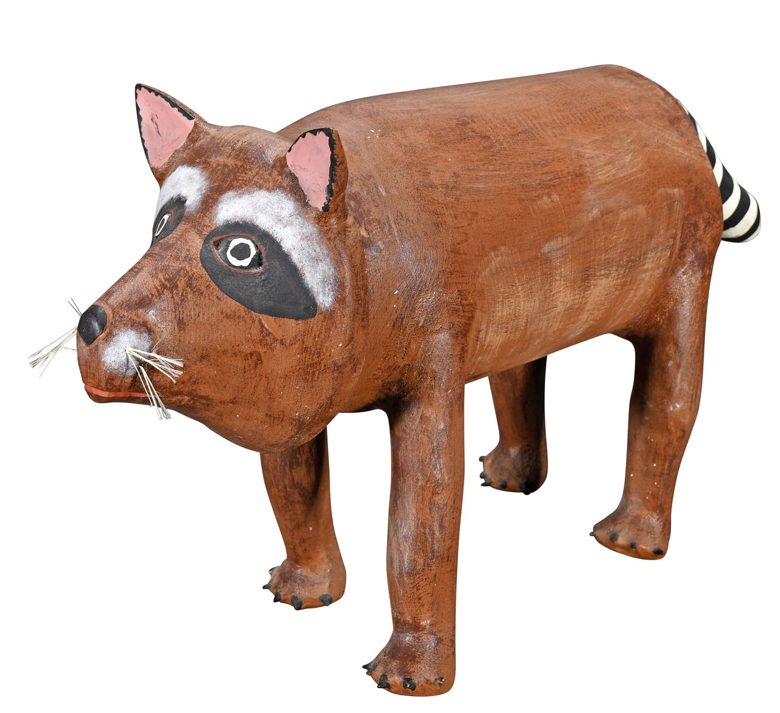 David Alvarez. Raccoon. (1 of 6)