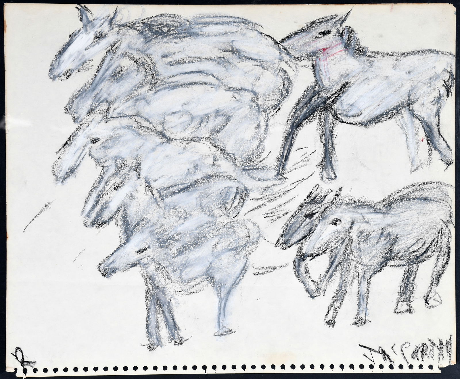 Justin McCarthy. Horses. (1 of 1)