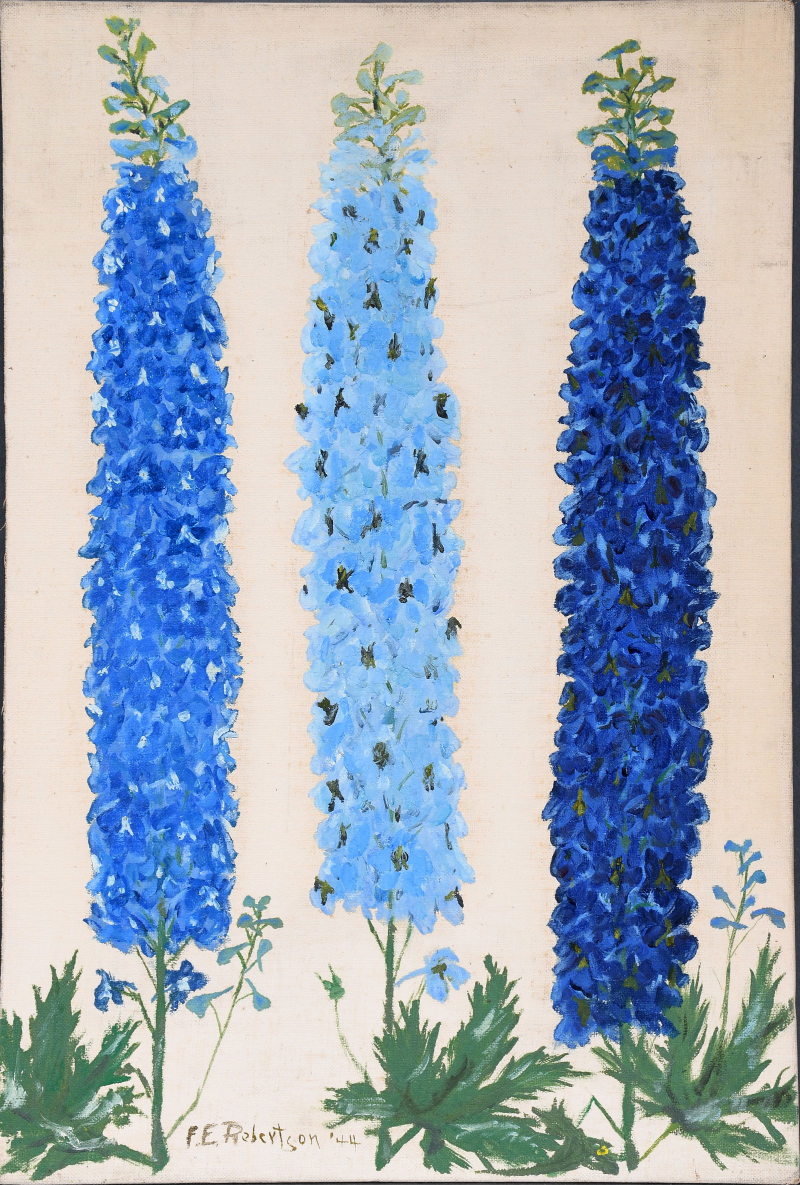 Fred E. Robertson. Delphiniums. (1 of 3)