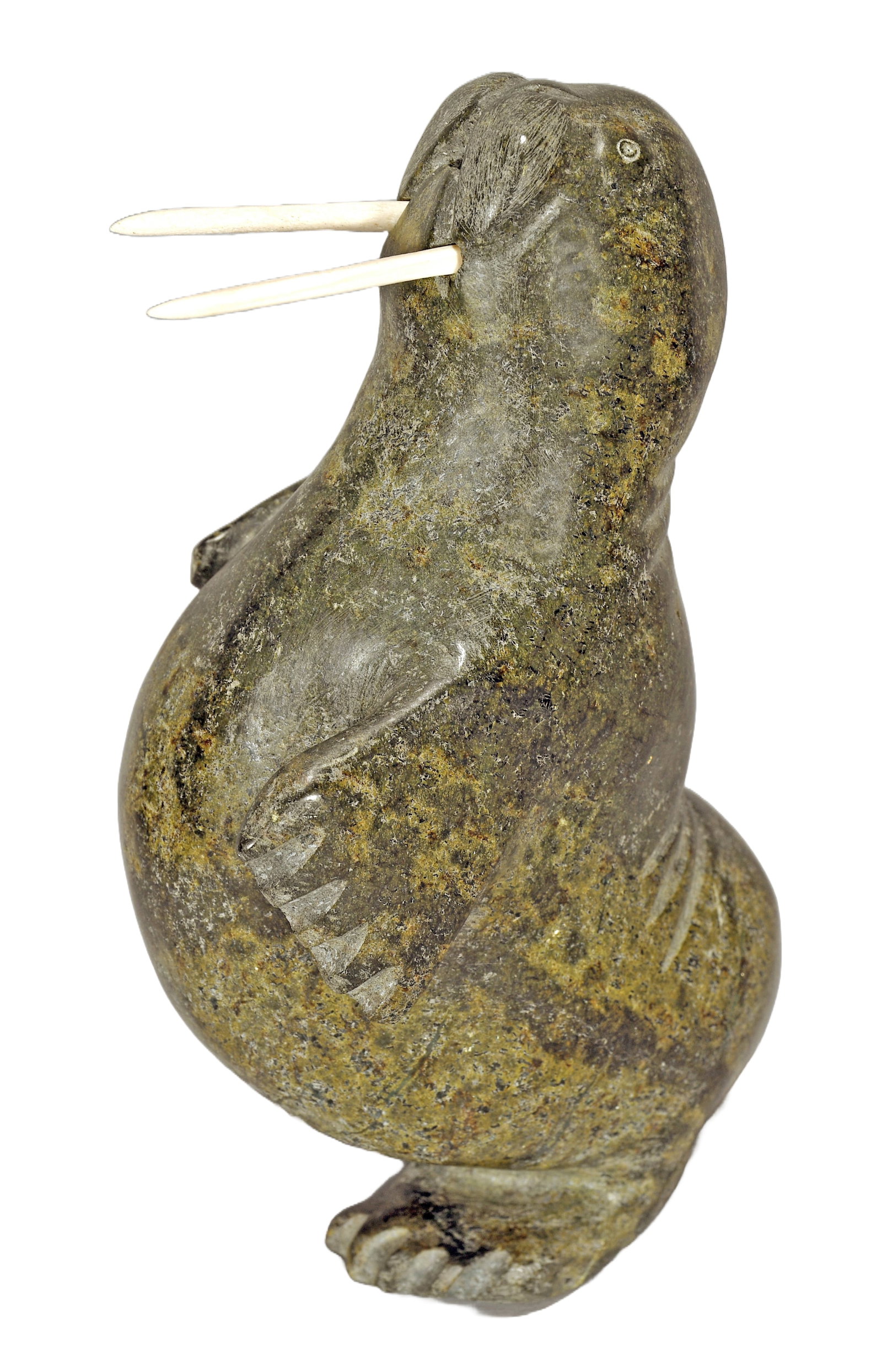 Inuit Walrus.: Inuit. Walrus. Not signed. Carved serpentine and bone. Excellent condition. 9" h. Est. $200-400. Ship: $65