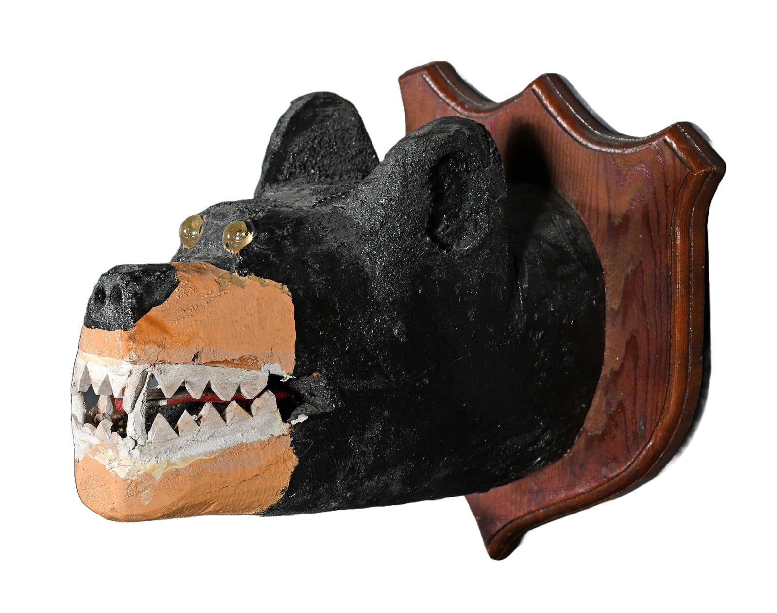 Wesley Merrit. Bear Head Trophy Mount. (1 of 4)