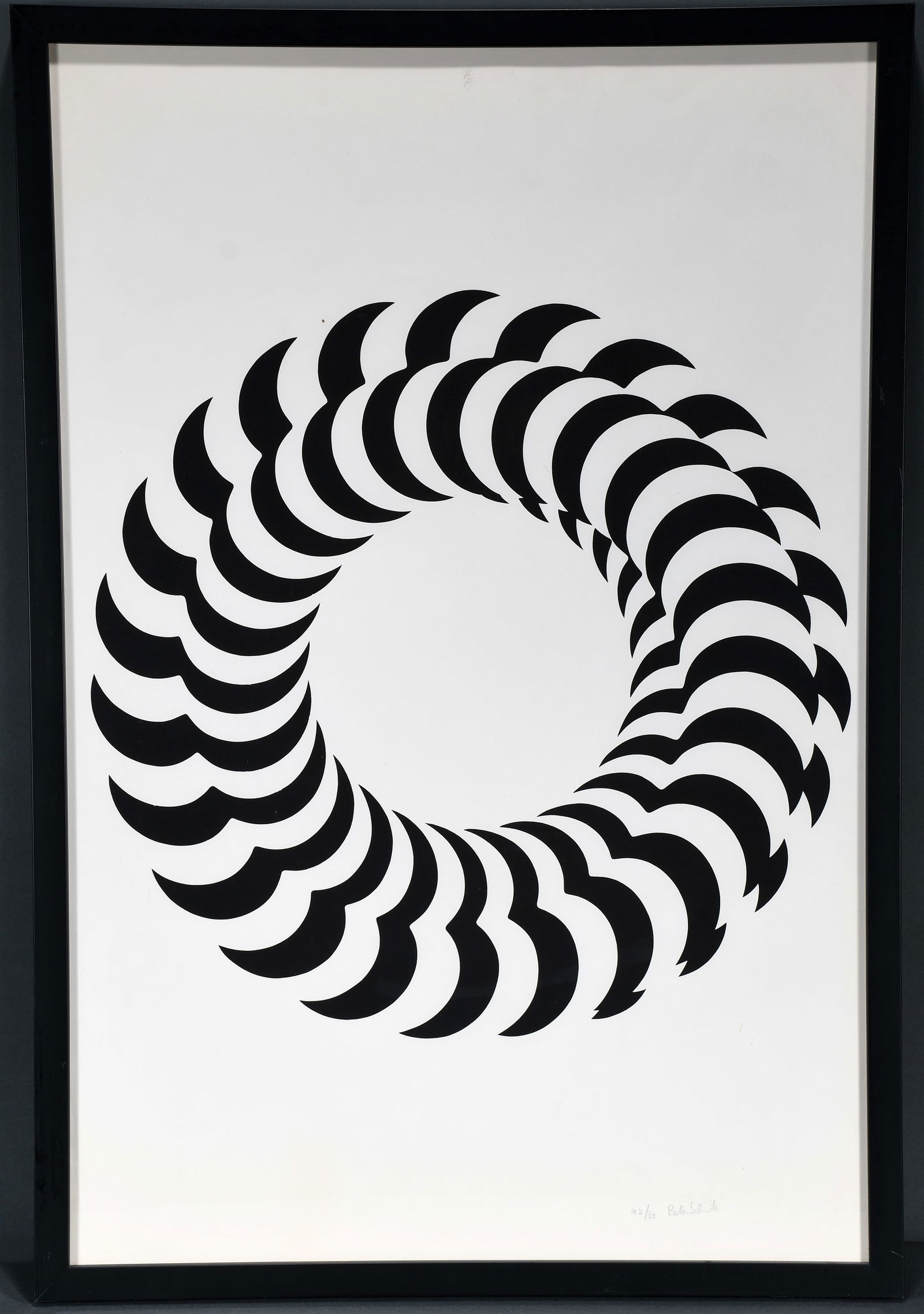 Pete Schmit. Optical Illusion Spiral. #43/60. (1 of 2)