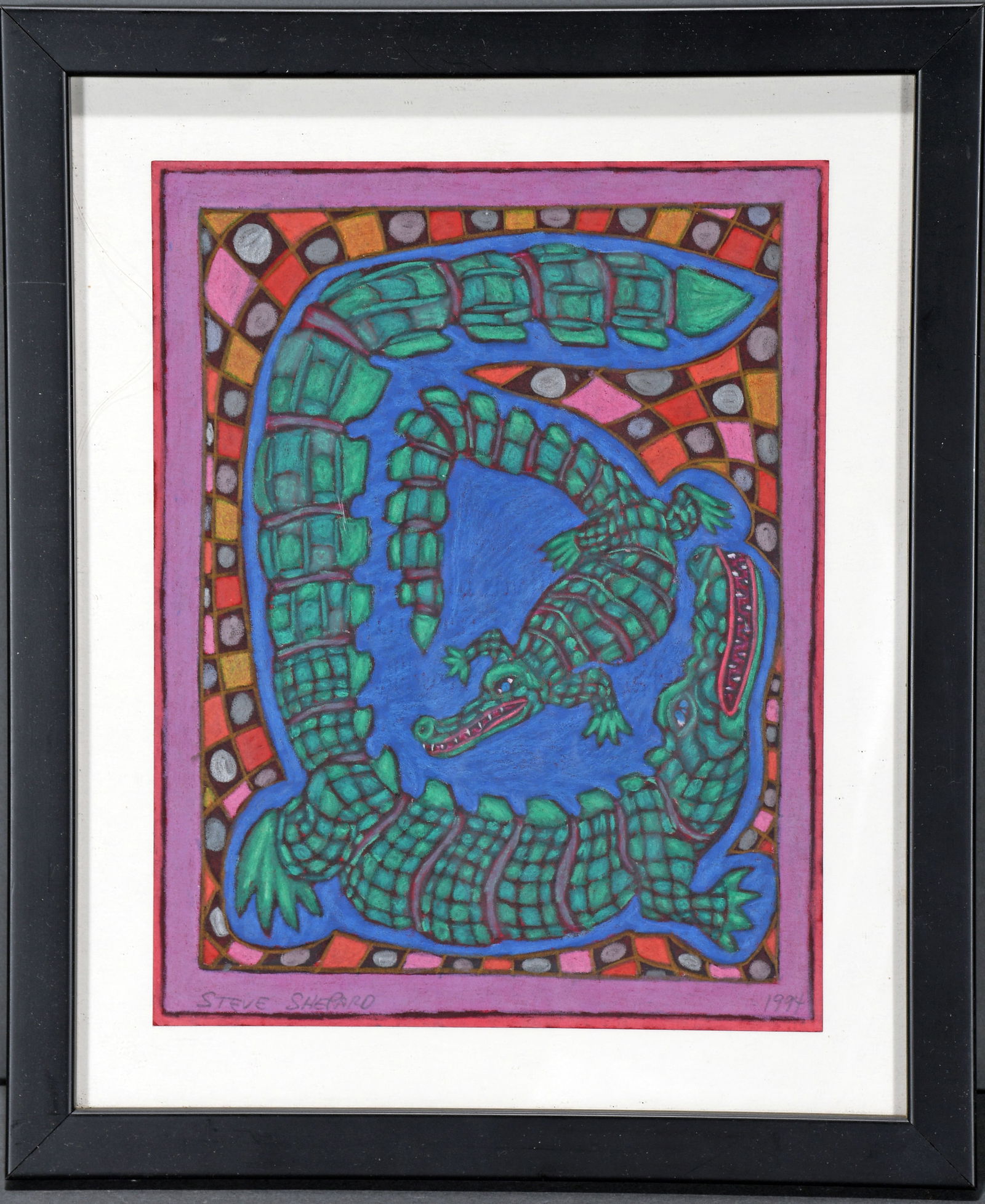 Steve Shepard. Alligator. (1 of 2)