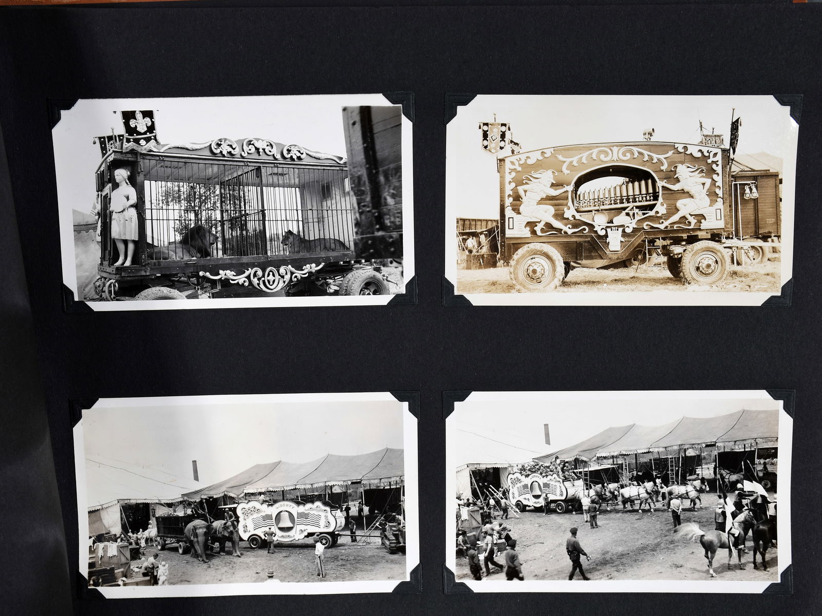 Anonymous Vernacular Photo Scrapbook. (1 of 8)