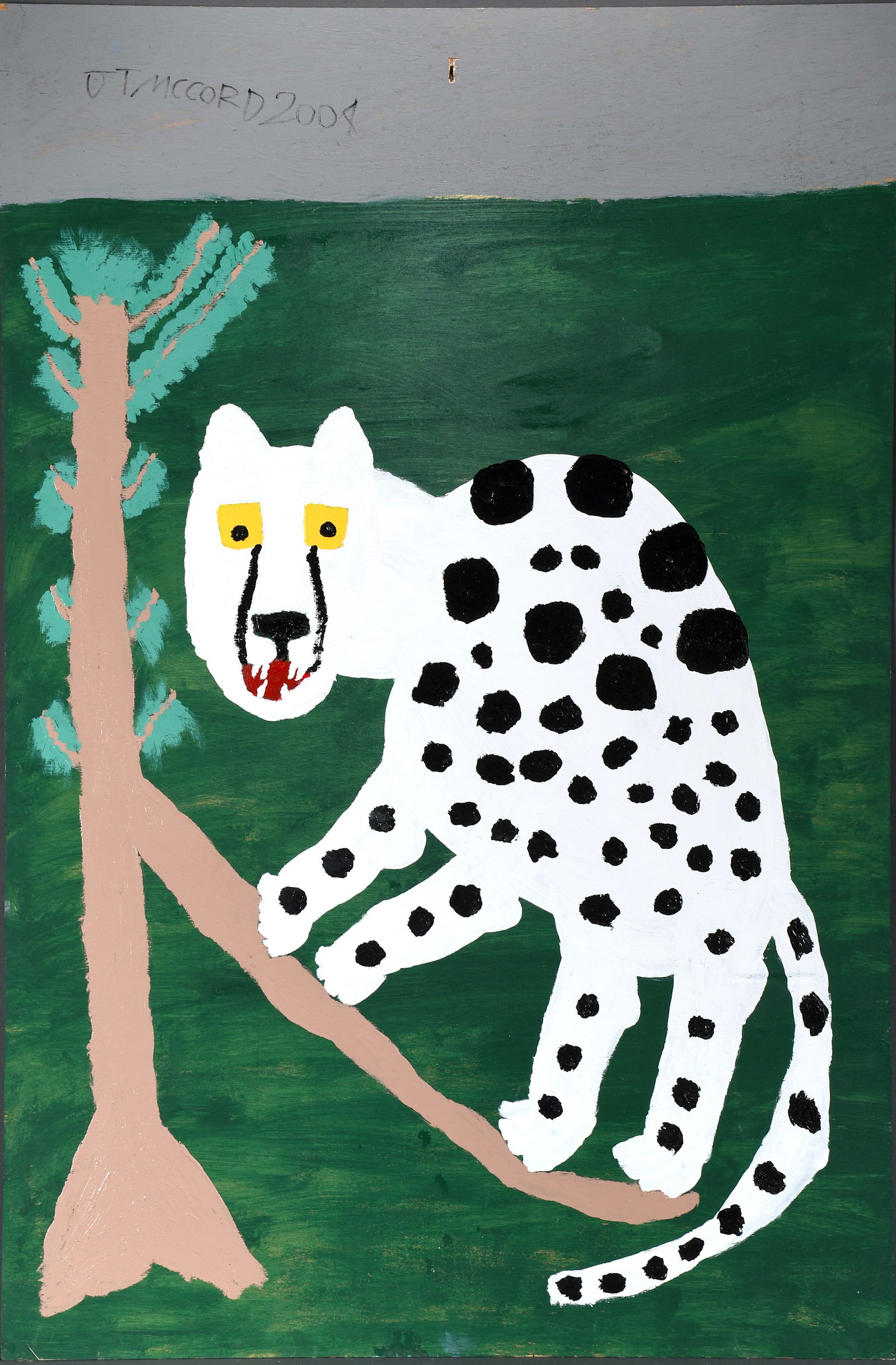 Jake McCord. Leopard In A Tree. (1 of 3)