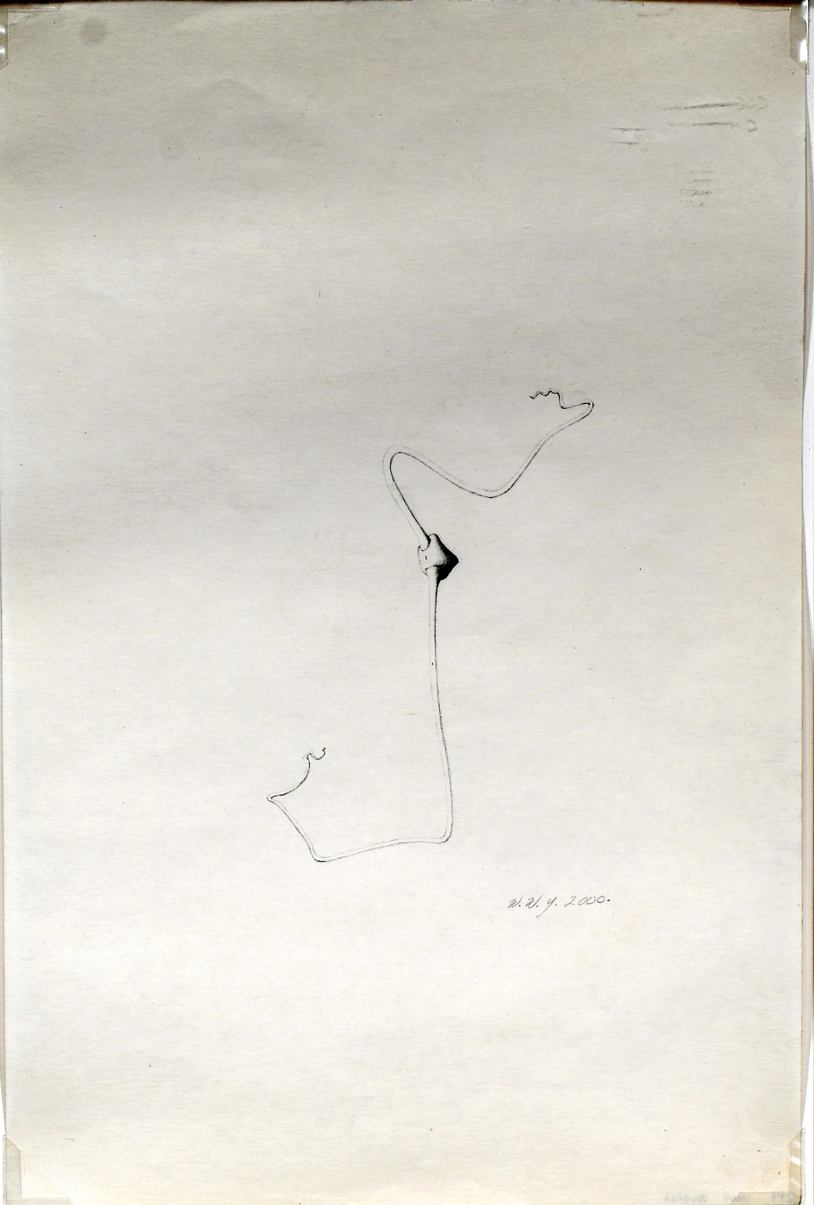 Willie Wayne Young. Simple Drawing. (1 of 5)