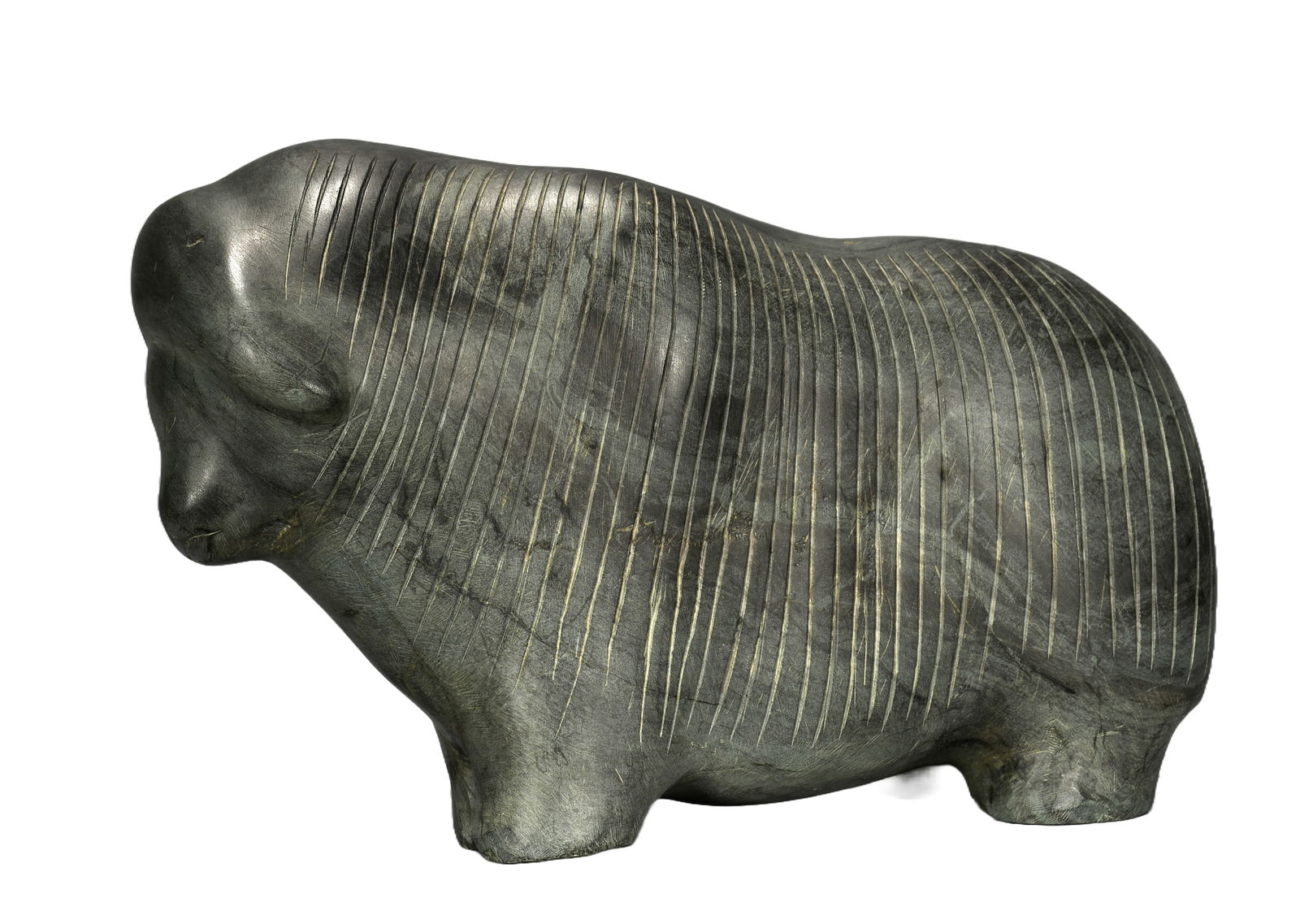 Musk Ox With Horn. (1 of 7)