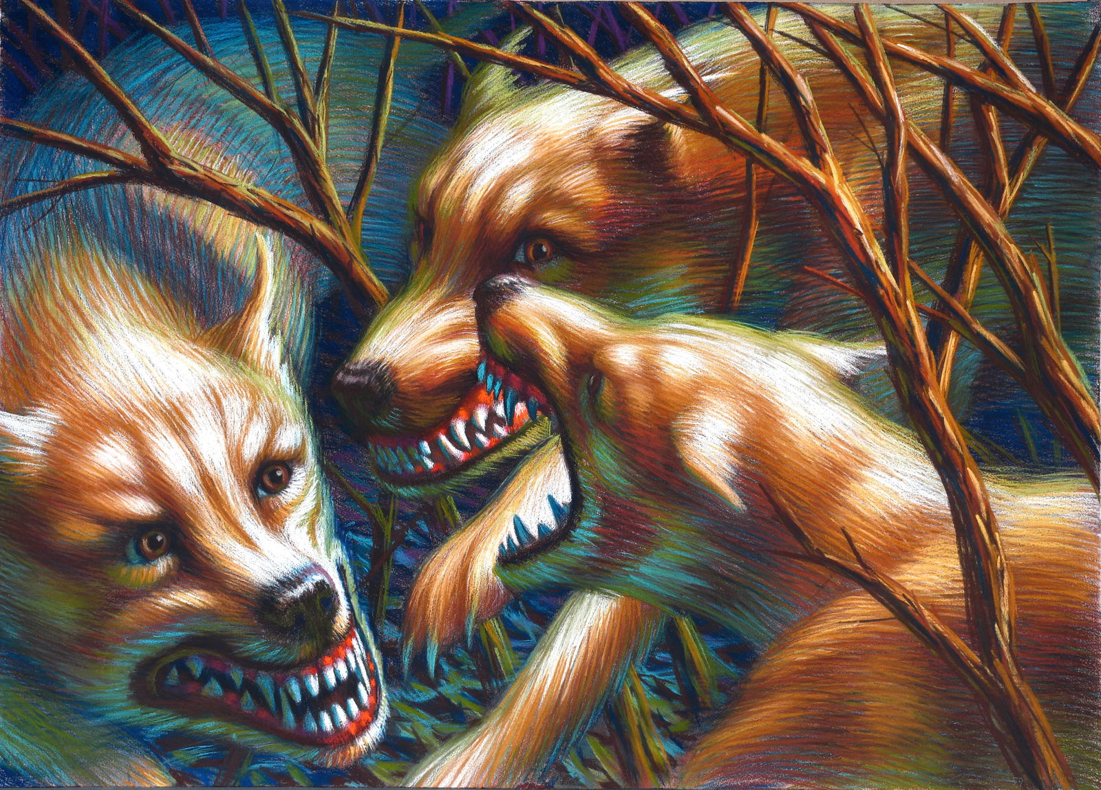 Leonard Koscianski. Canines. (1 of 8)