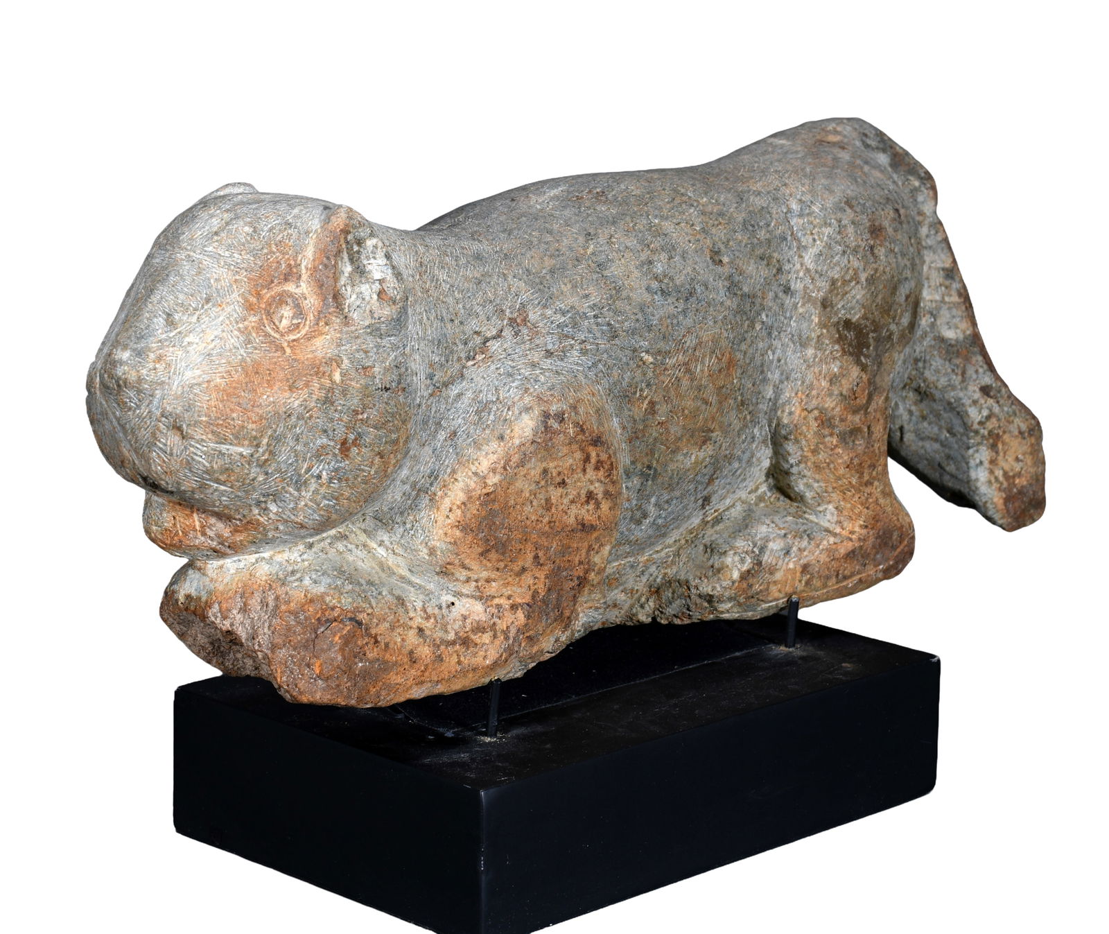 Raymond Coins. Cougar Carved river stone. (1 of 5)