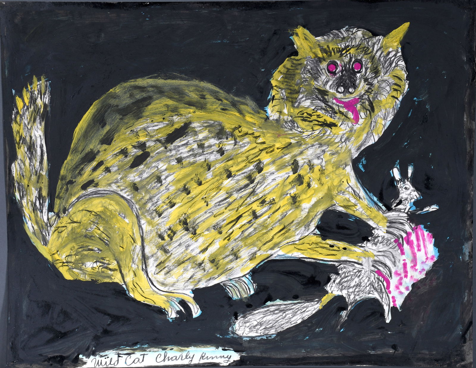 Charley Kinney. Wildcat. (1 of 3)