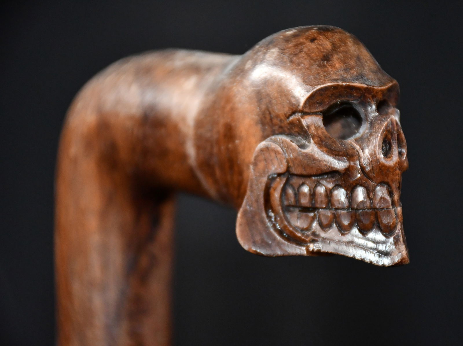 Devil and Skull Handle Canes. - 2