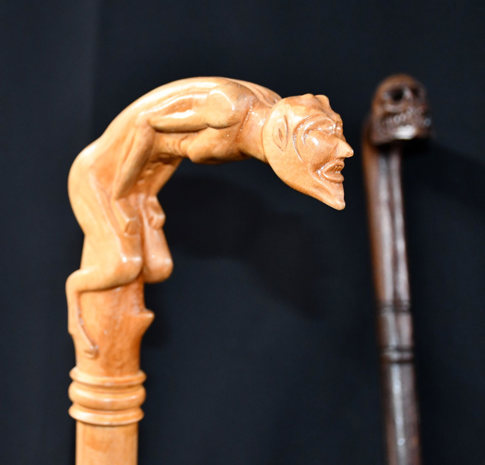 Devil and Skull Handle Canes. - 3