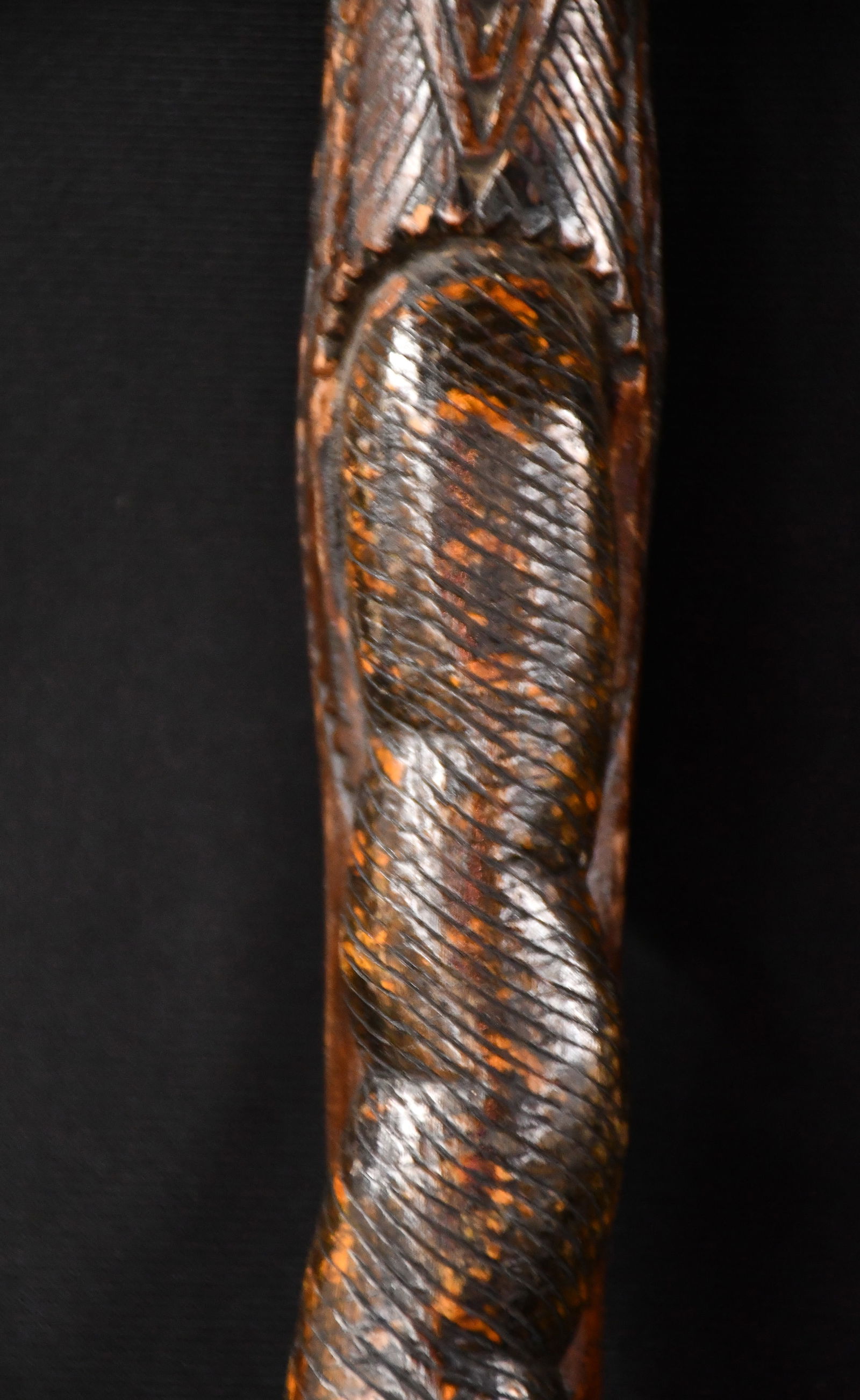 Snake Eating Frog Cane. - 4