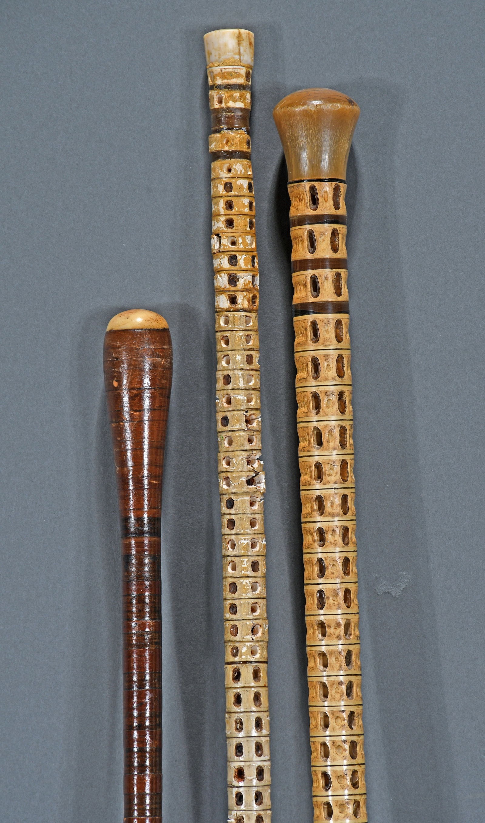 3 Shark Vertabre Canes. - 2