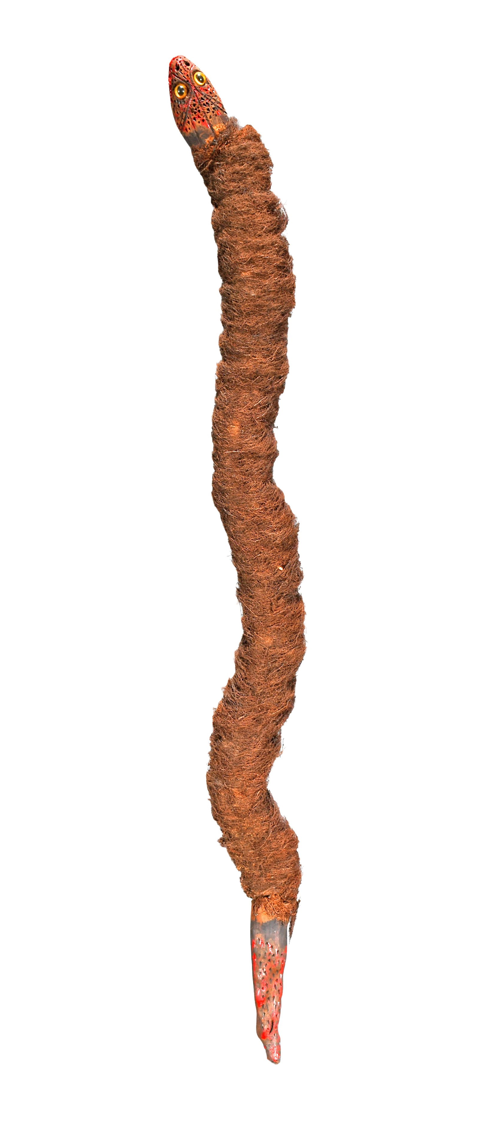 Furry Vine Snake. (1 of 3)