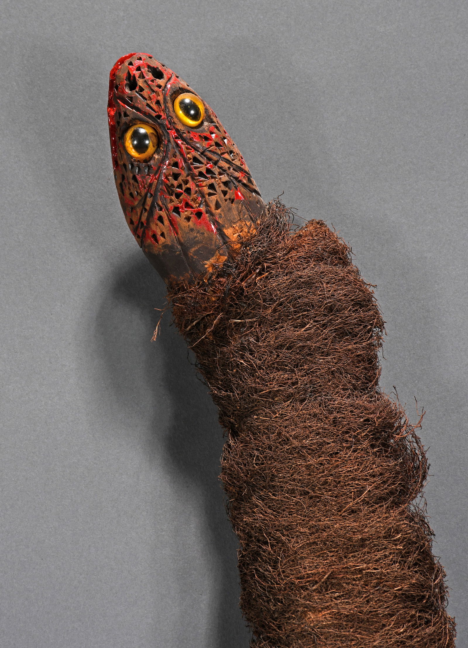 Furry Vine Snake. - 2