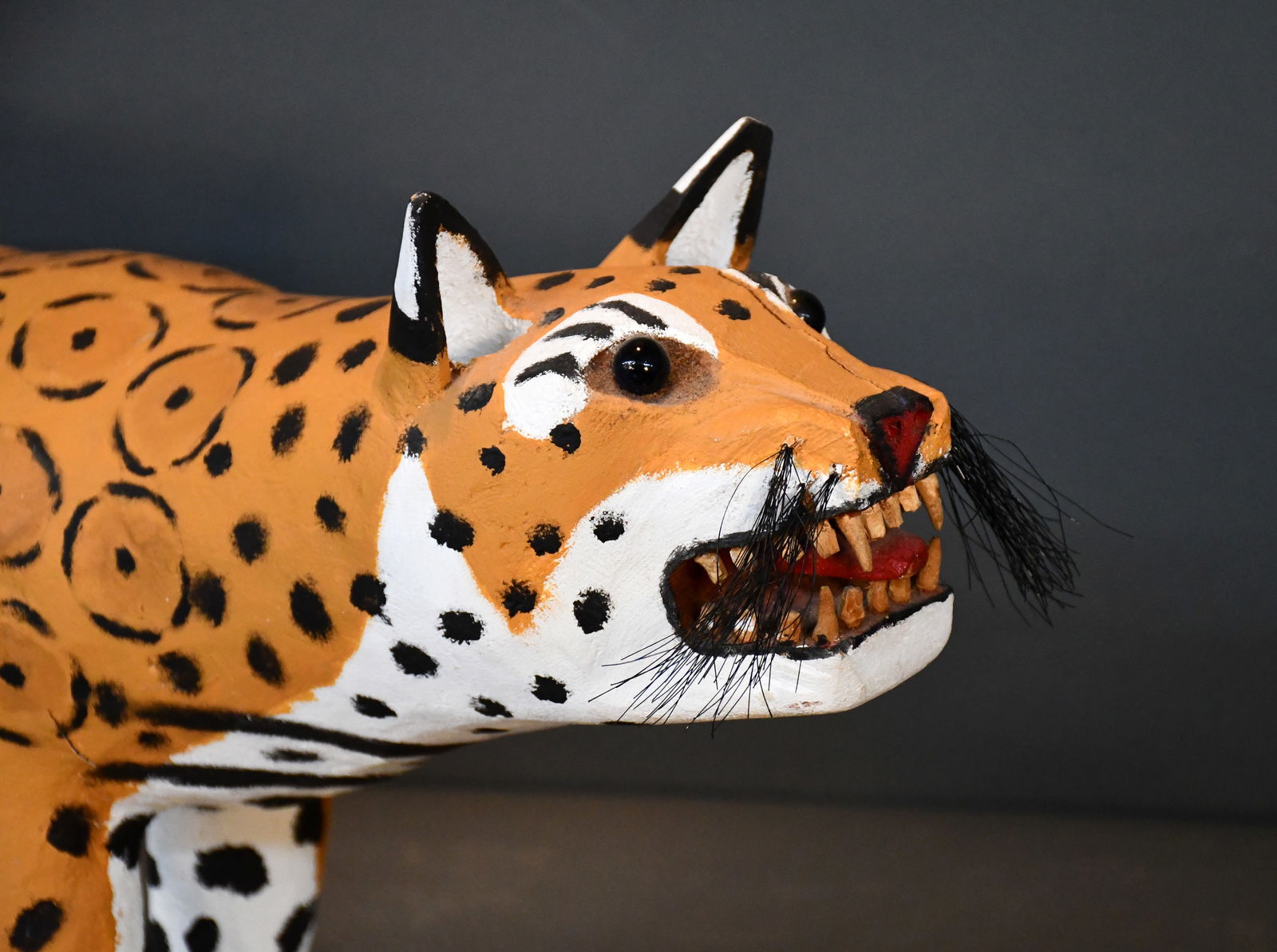 Leroy Archuleta. Leopard. - 2