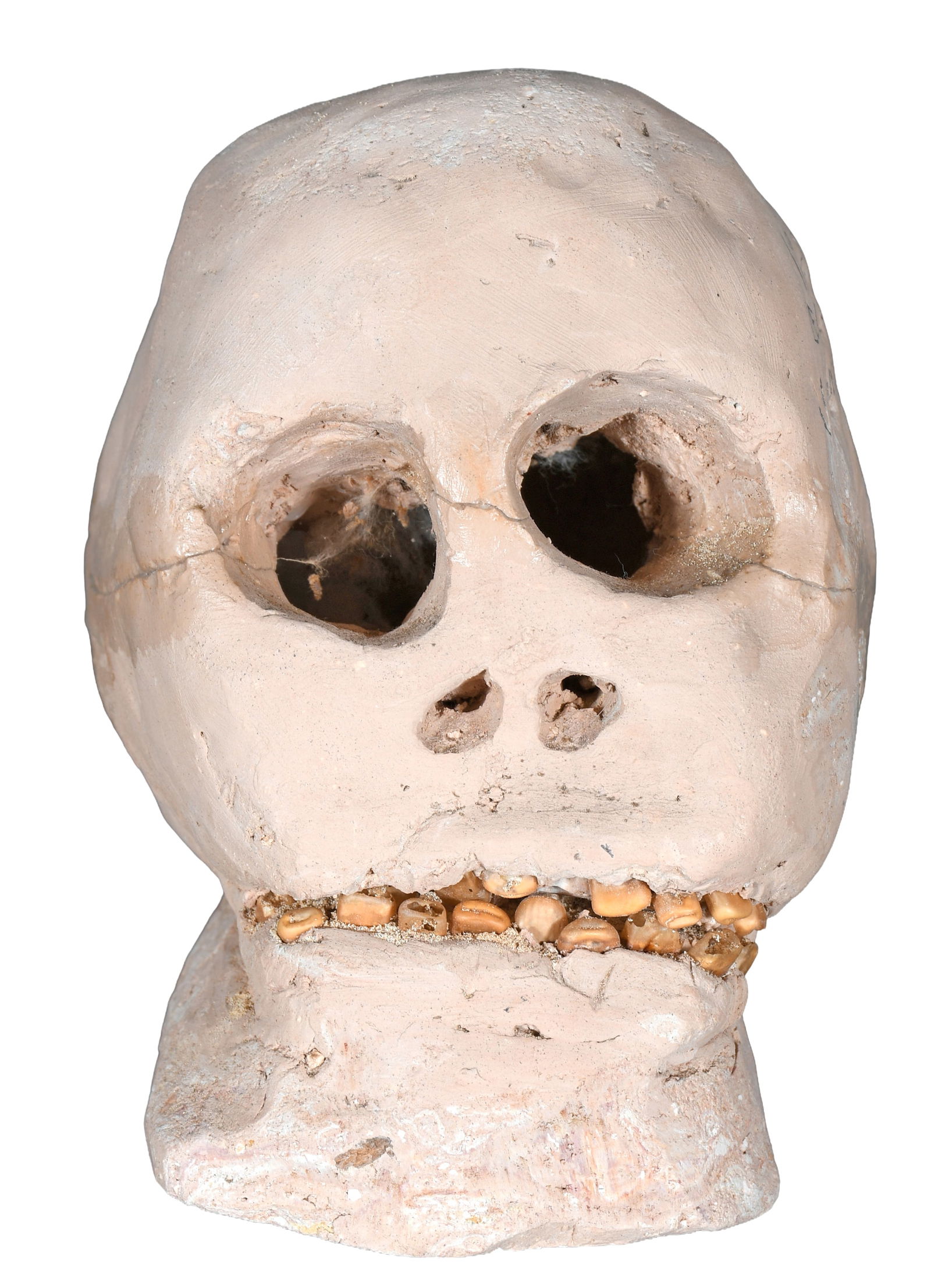 Son Ford Thomas. Skull. (1 of 6)