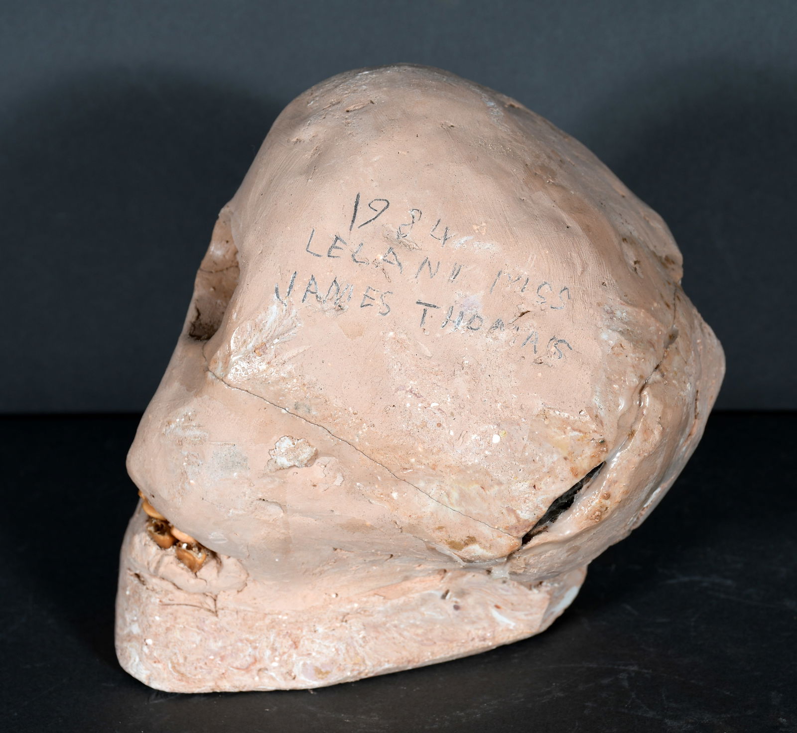 Son Ford Thomas. Skull. - 3