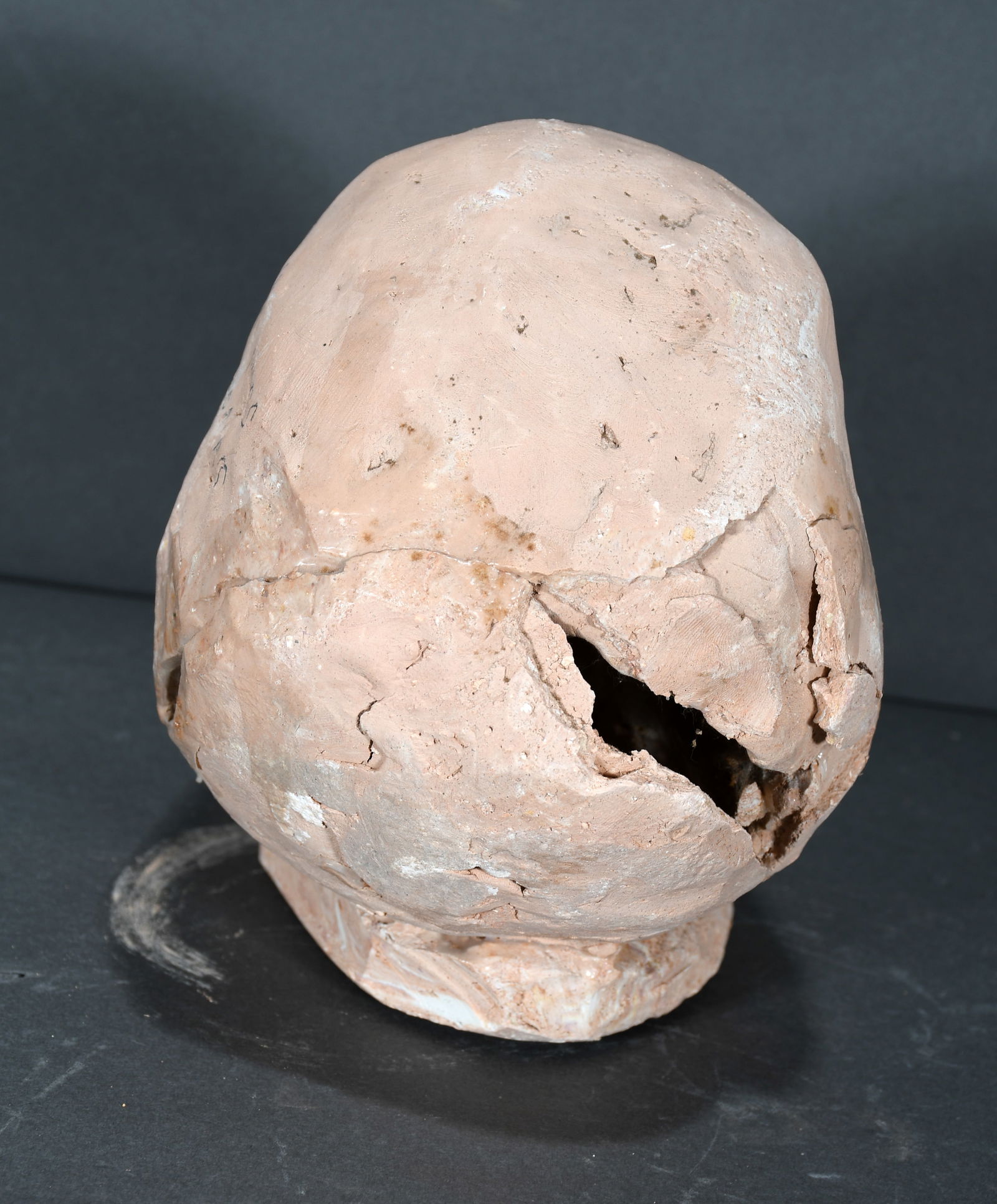 Son Ford Thomas. Skull. - 5