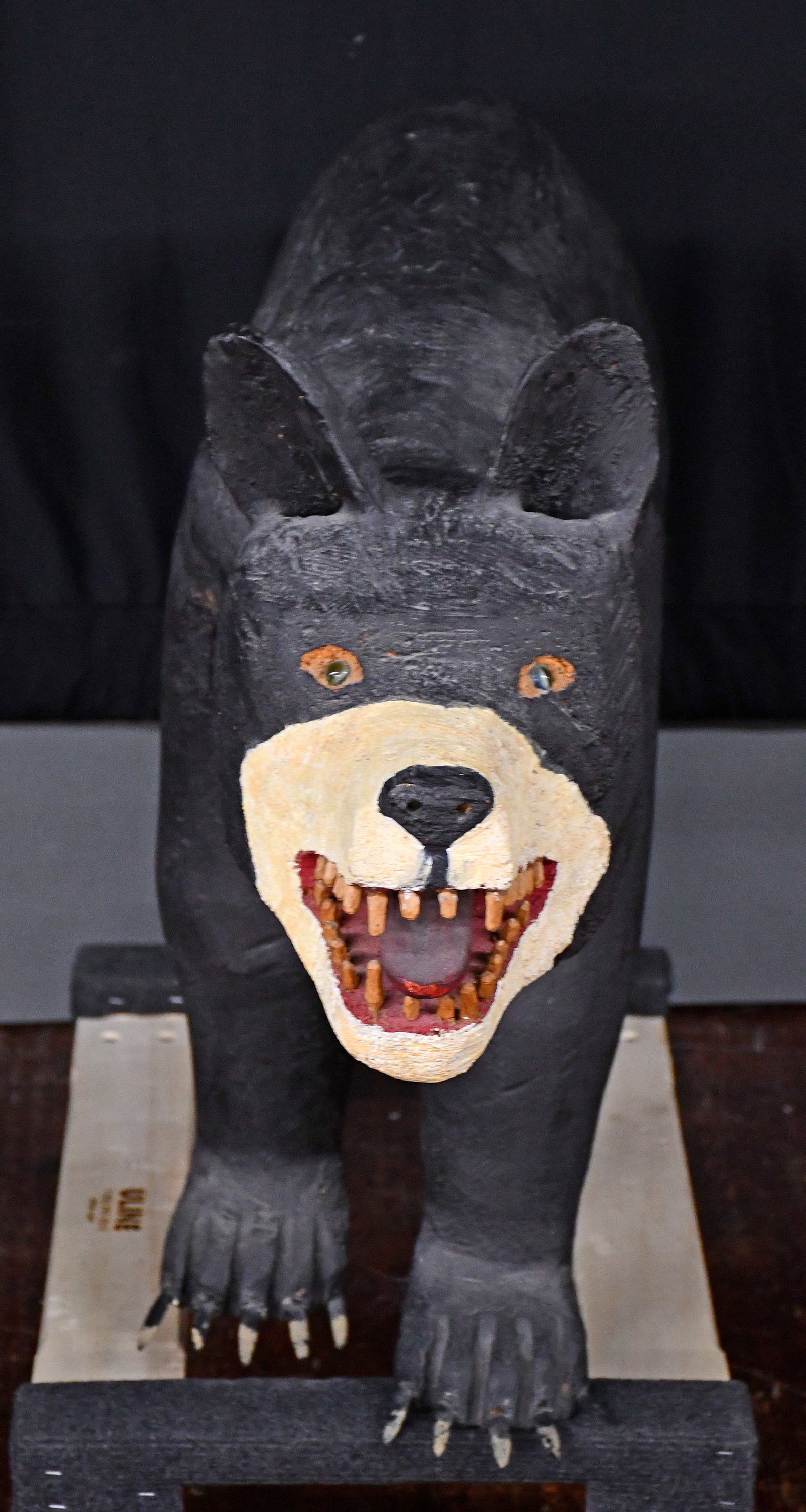 Felipe Archuleta. Large Black Bear. - 11