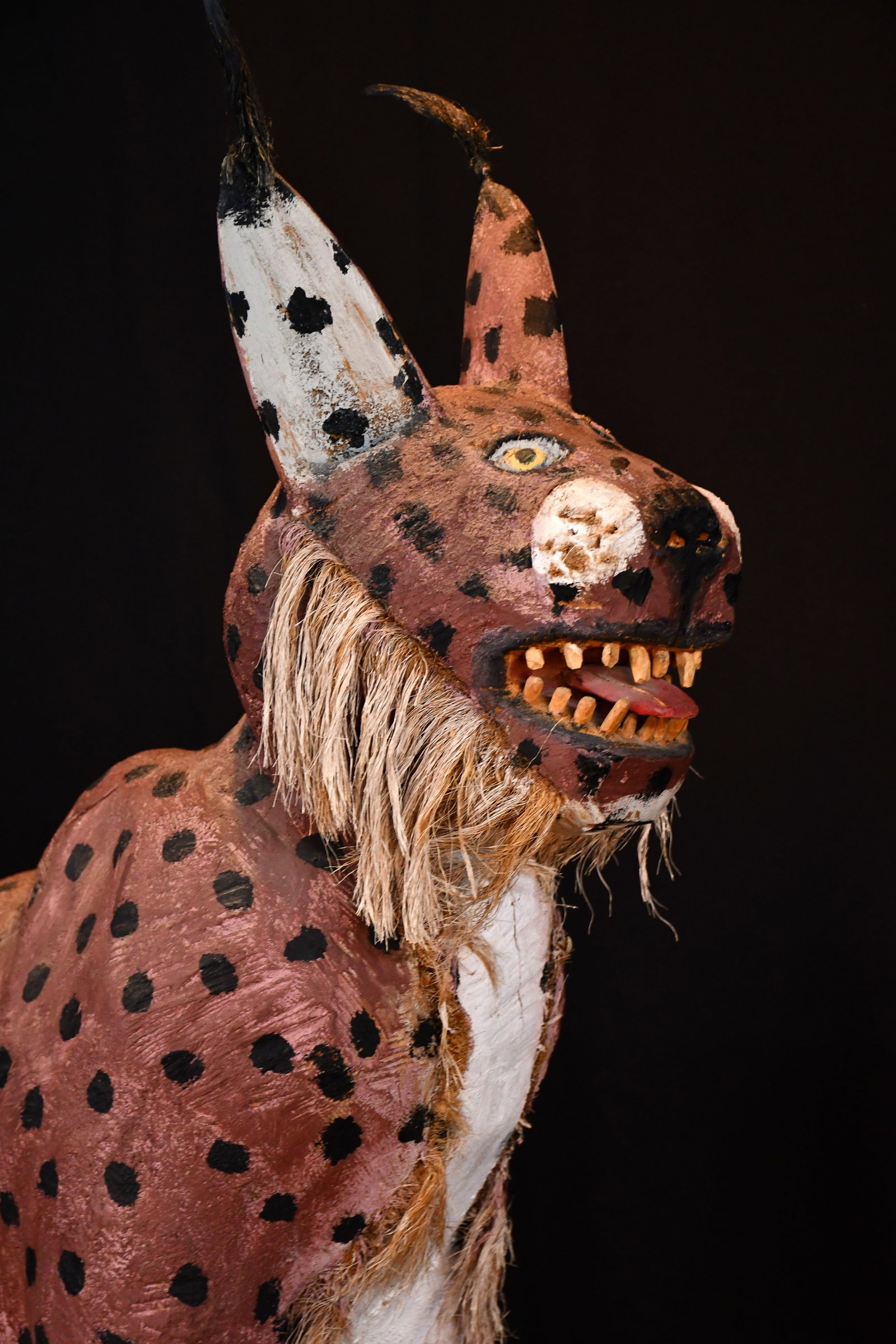 Felipe Archuleta. Lynx. - 11