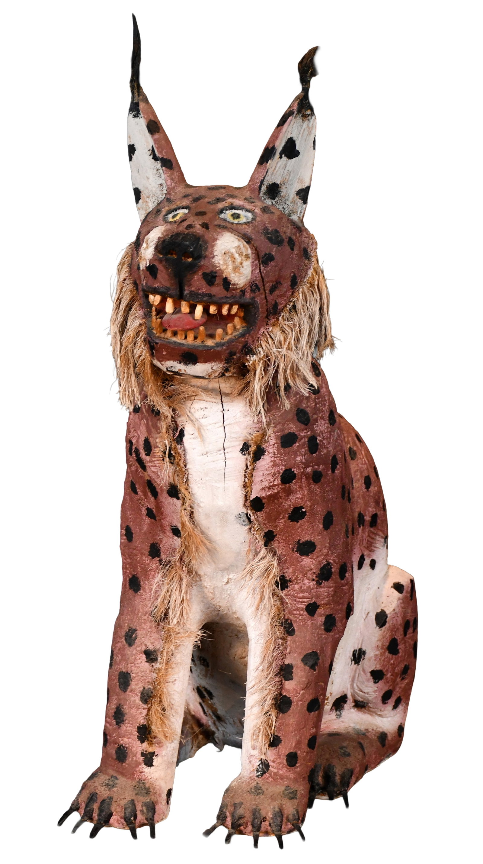 Felipe Archuleta. Lynx. (1 of 14)