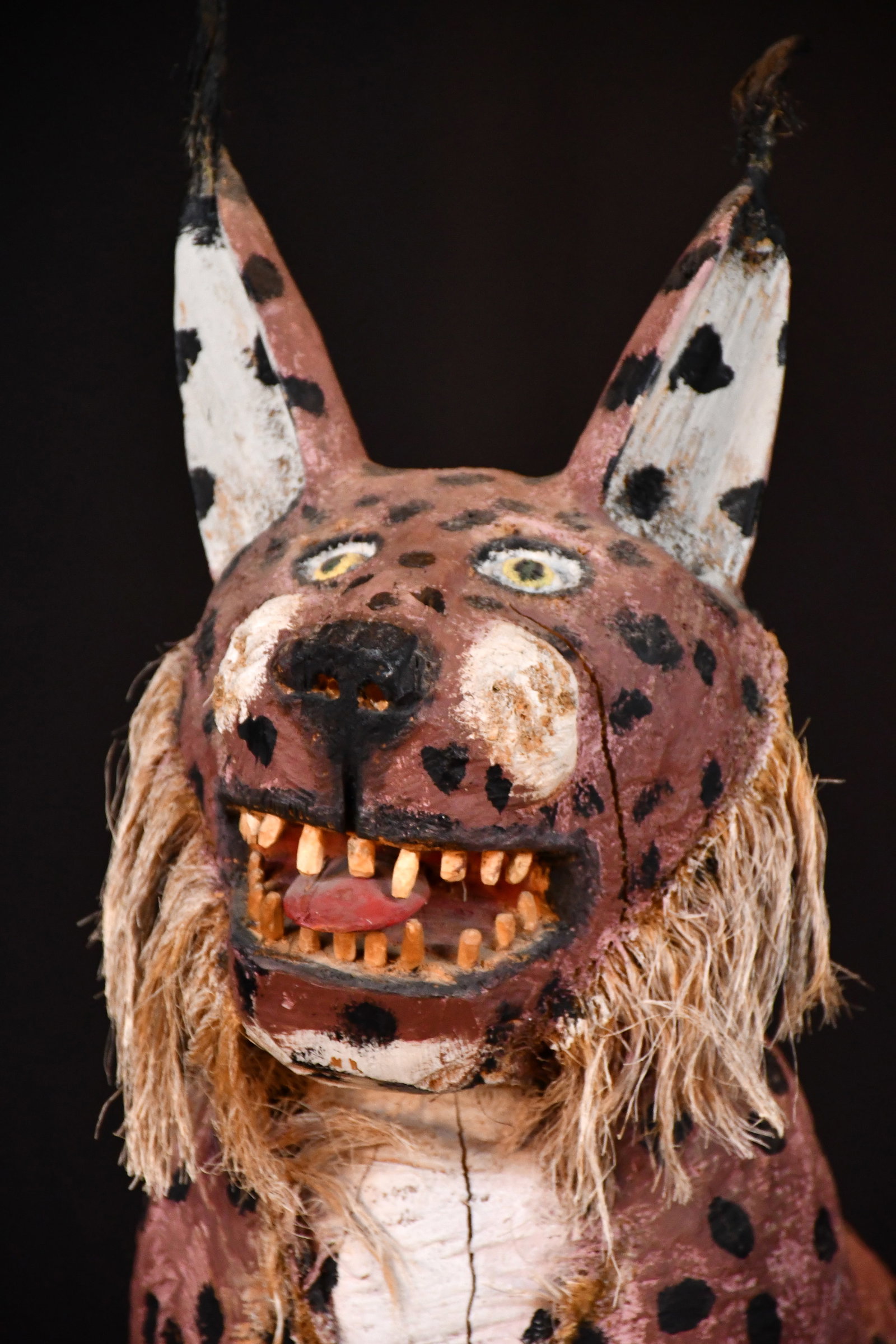 Felipe Archuleta. Lynx. - 2