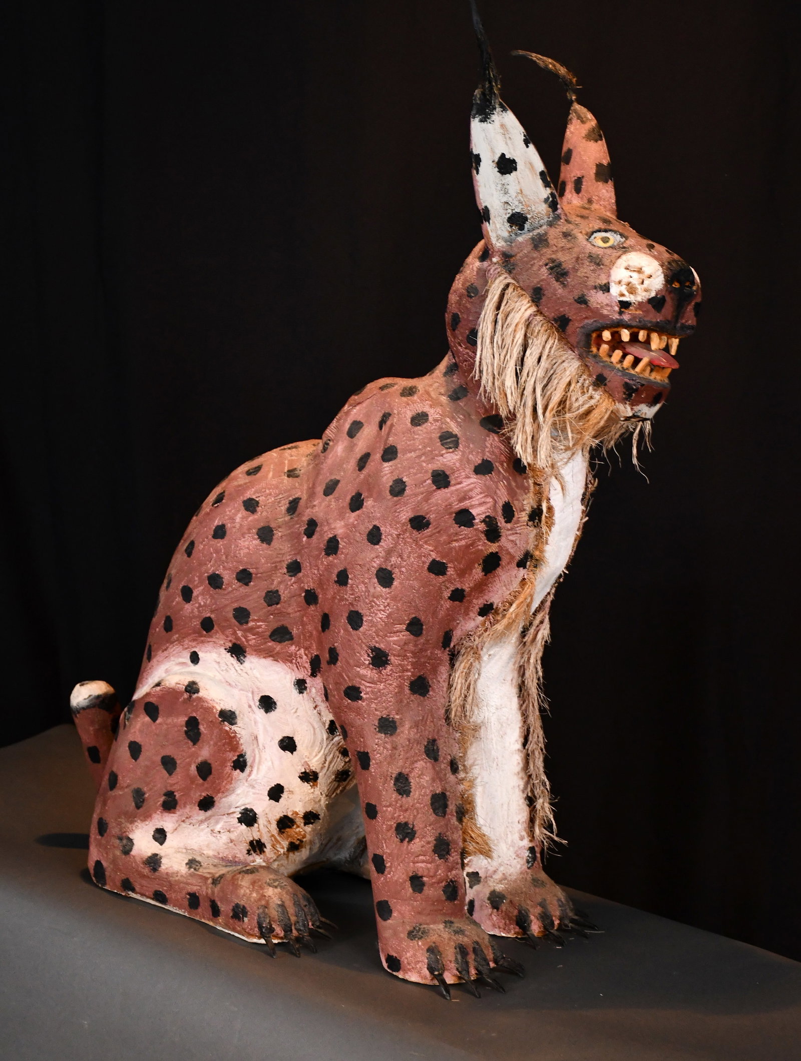 Felipe Archuleta. Lynx. - 5